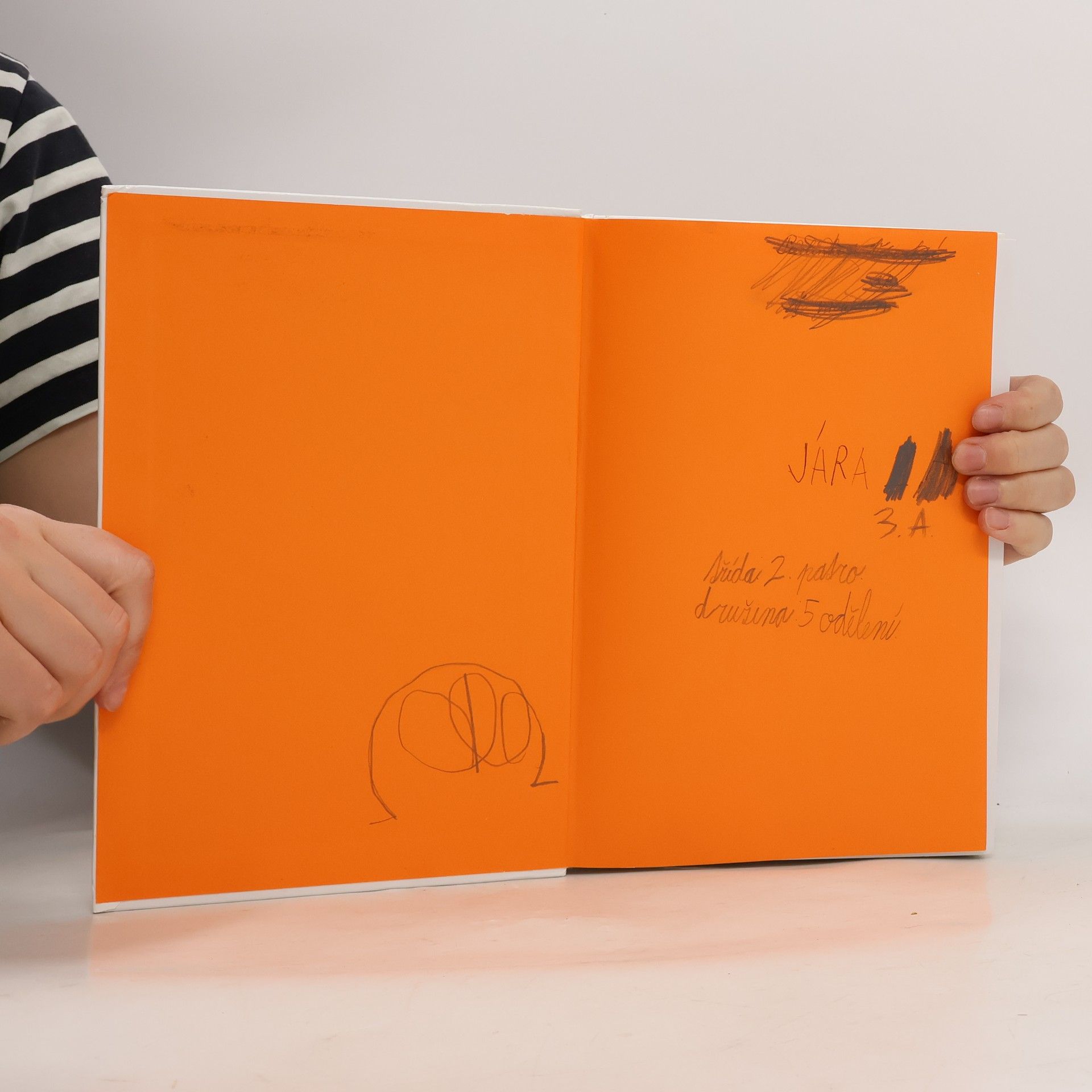 Astrid Lindgrenová Děti z Bullerbynu