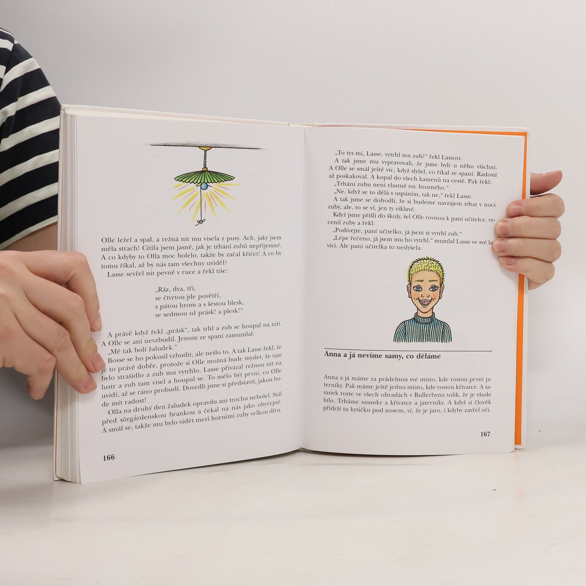 Astrid Lindgrenová Děti z Bullerbynu