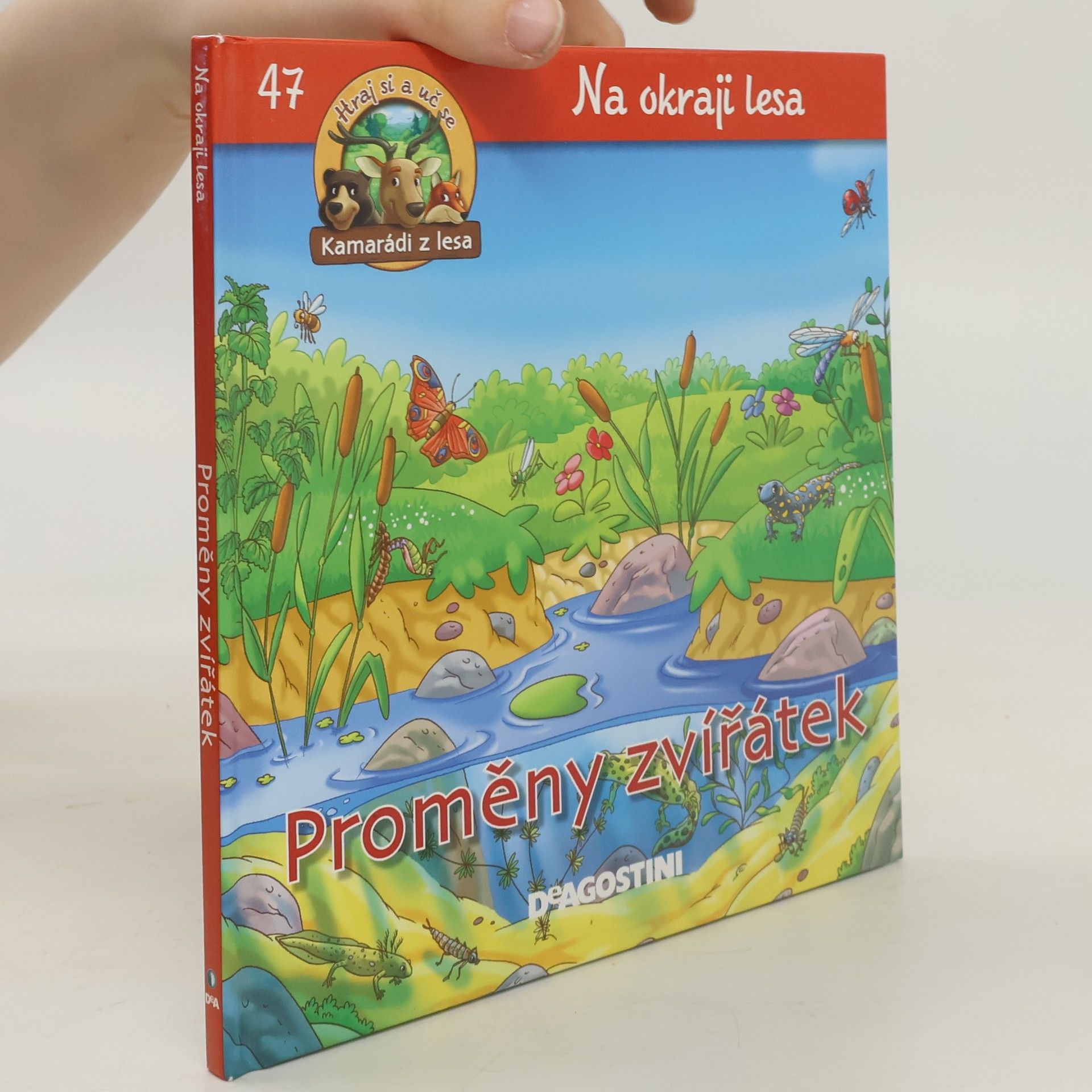 Kolektiv autorů Proměny zvířátek. Na okraji lesa 47