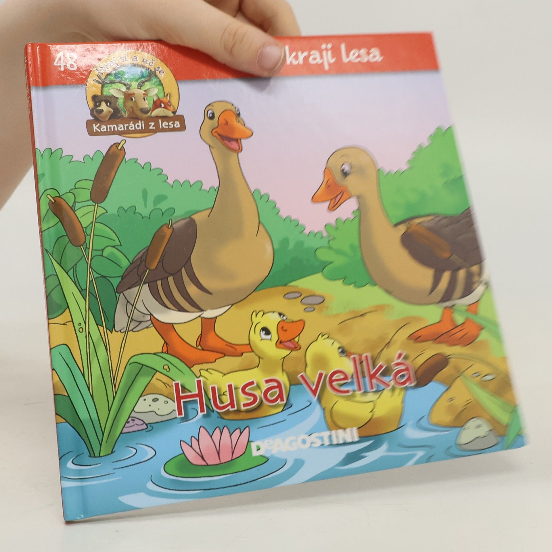 Autorenkollektiv Na okraji lesa 48. Husa velká