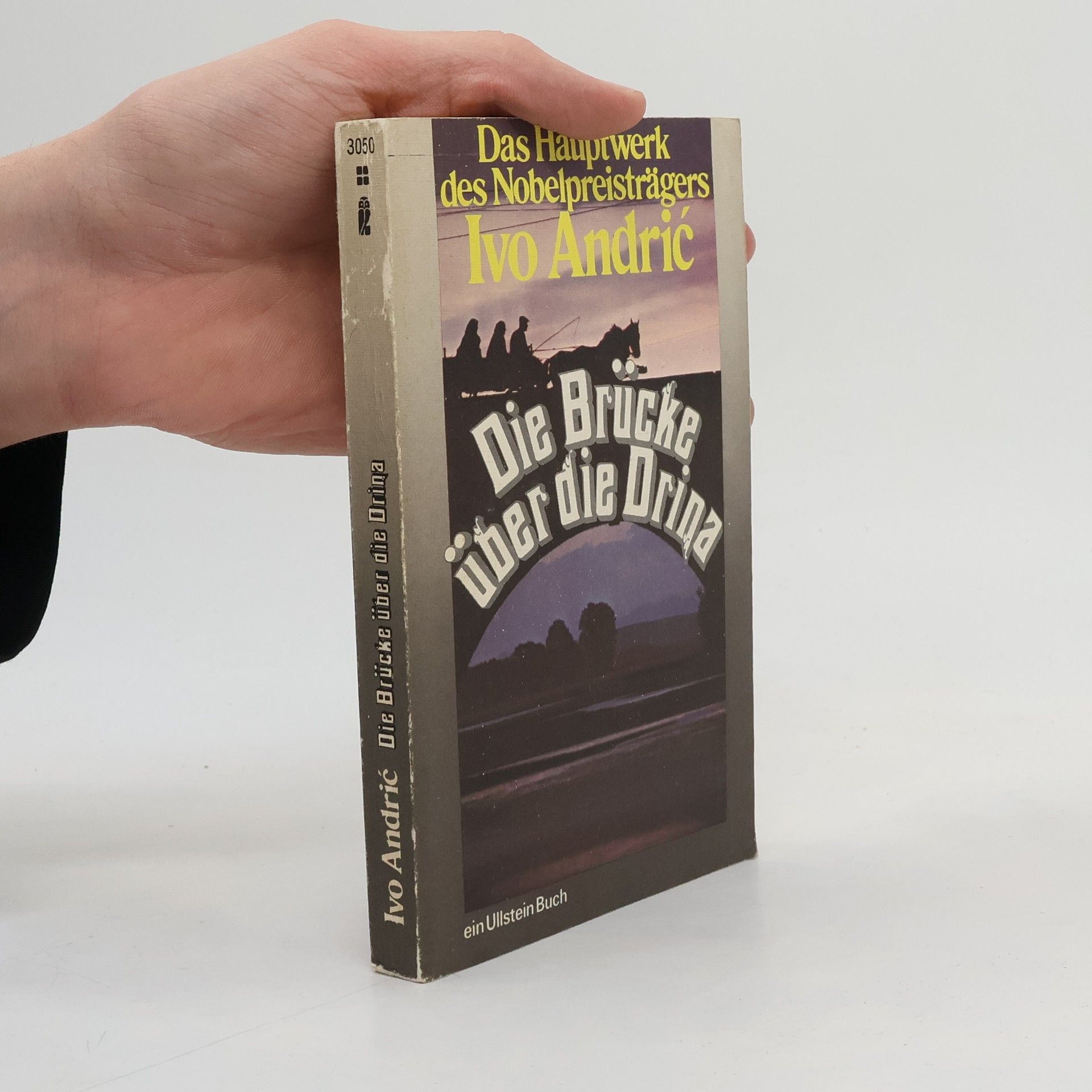 Ivo Andrić Die Brücke über die Drina