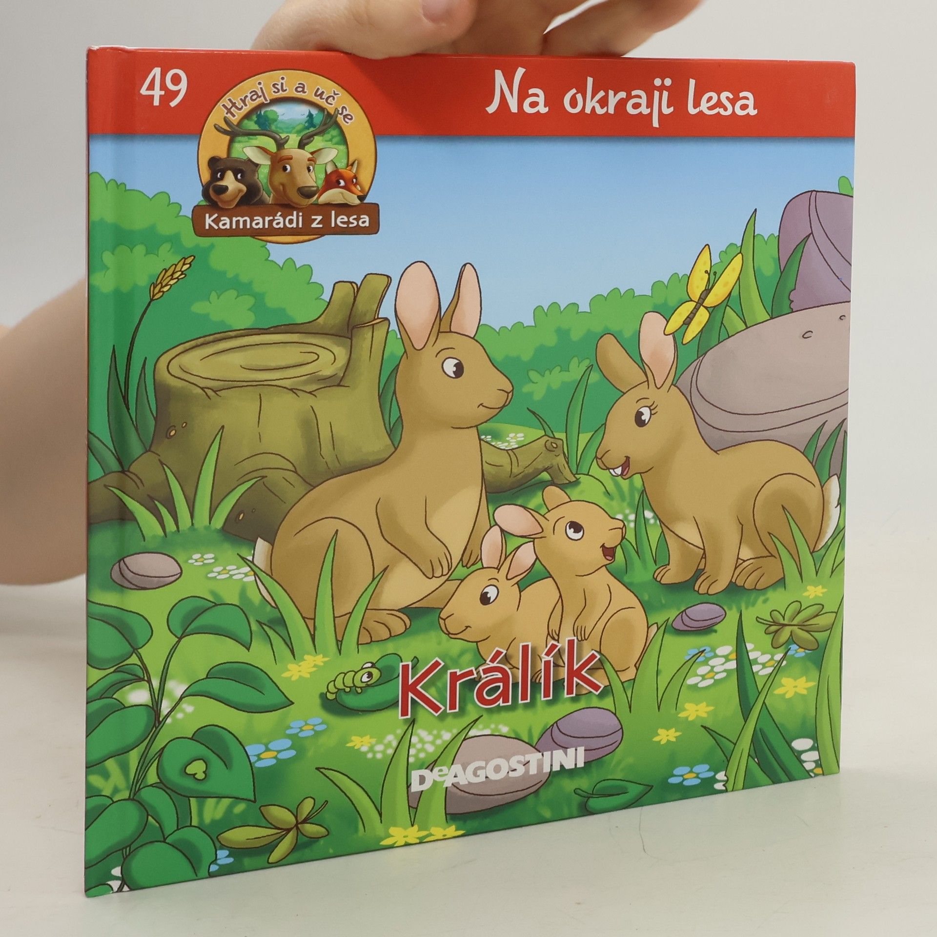 Autorenkollektiv Na okraji lesa 49. Králík