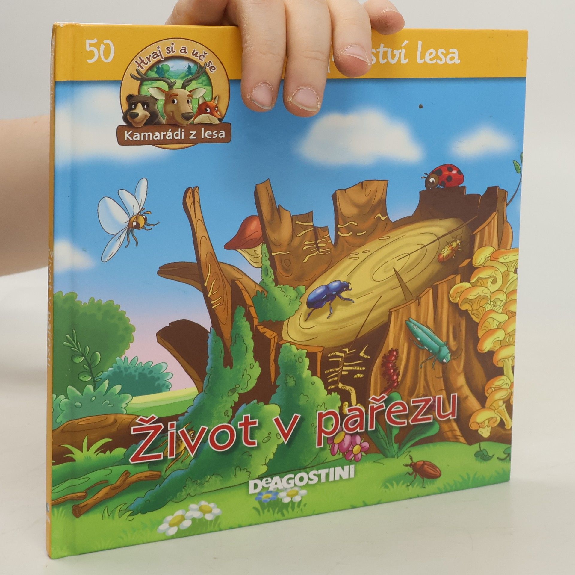 Kolektiv autorů Tajemství lesa 50. Život v pařezu