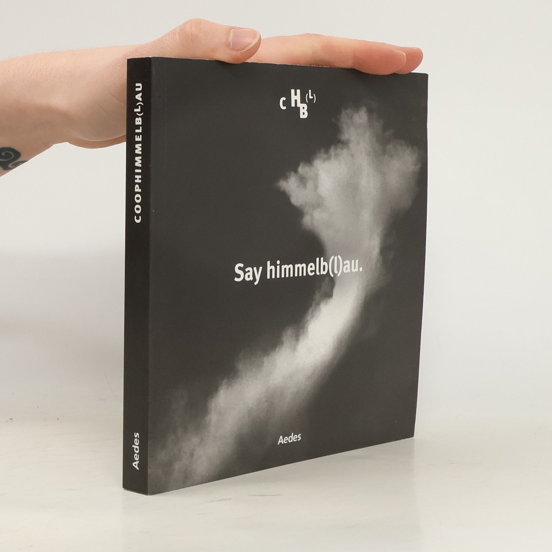 Kristin Feireiss Say himmelb(l)au