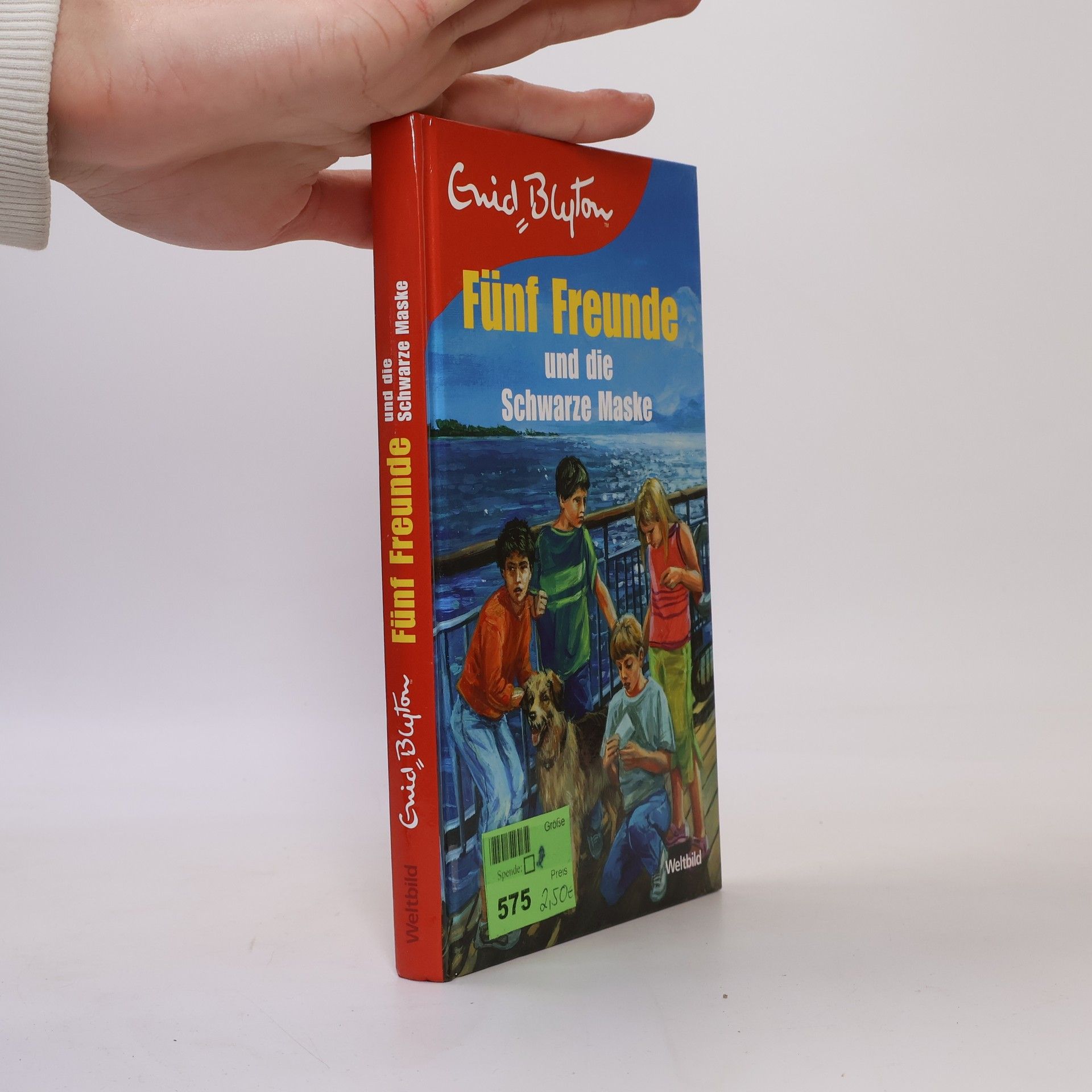 Enid Blyton Fünf Freunde und die schwarze Maske