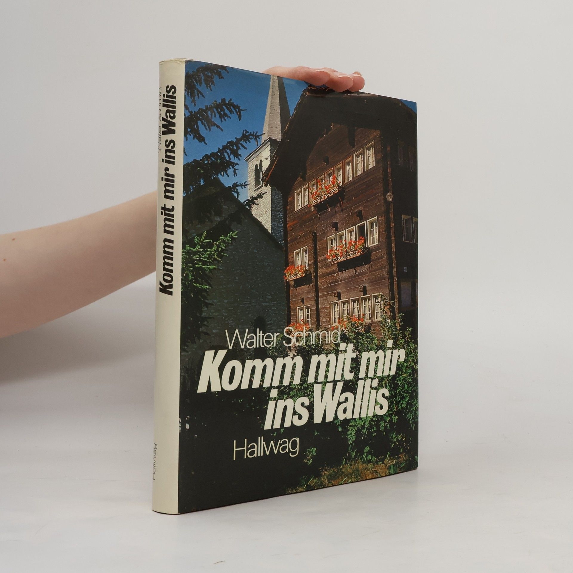 Walter Fabian Schmid Komm mit mir ins Wallis