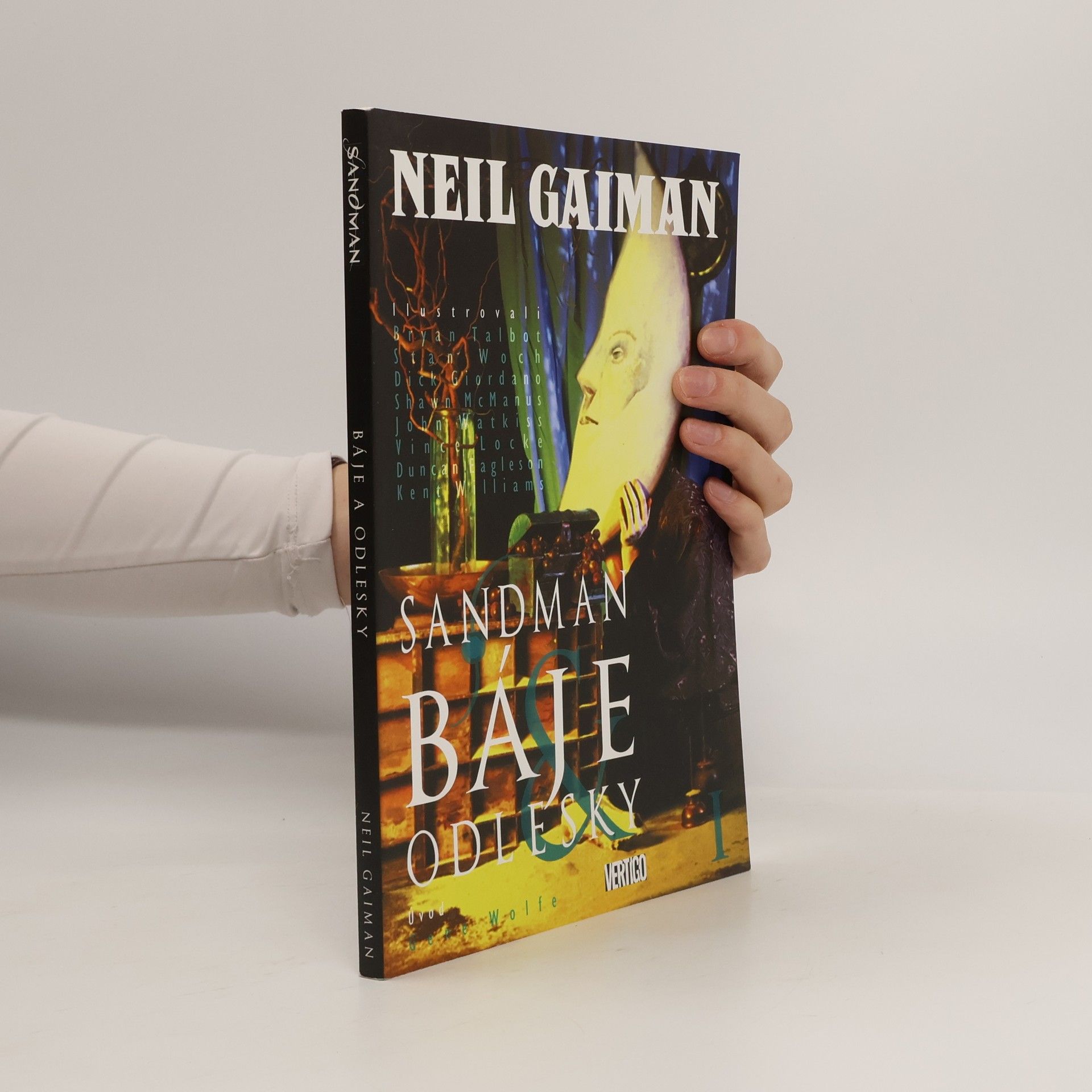 Neil Gaiman Báje & odlesky I