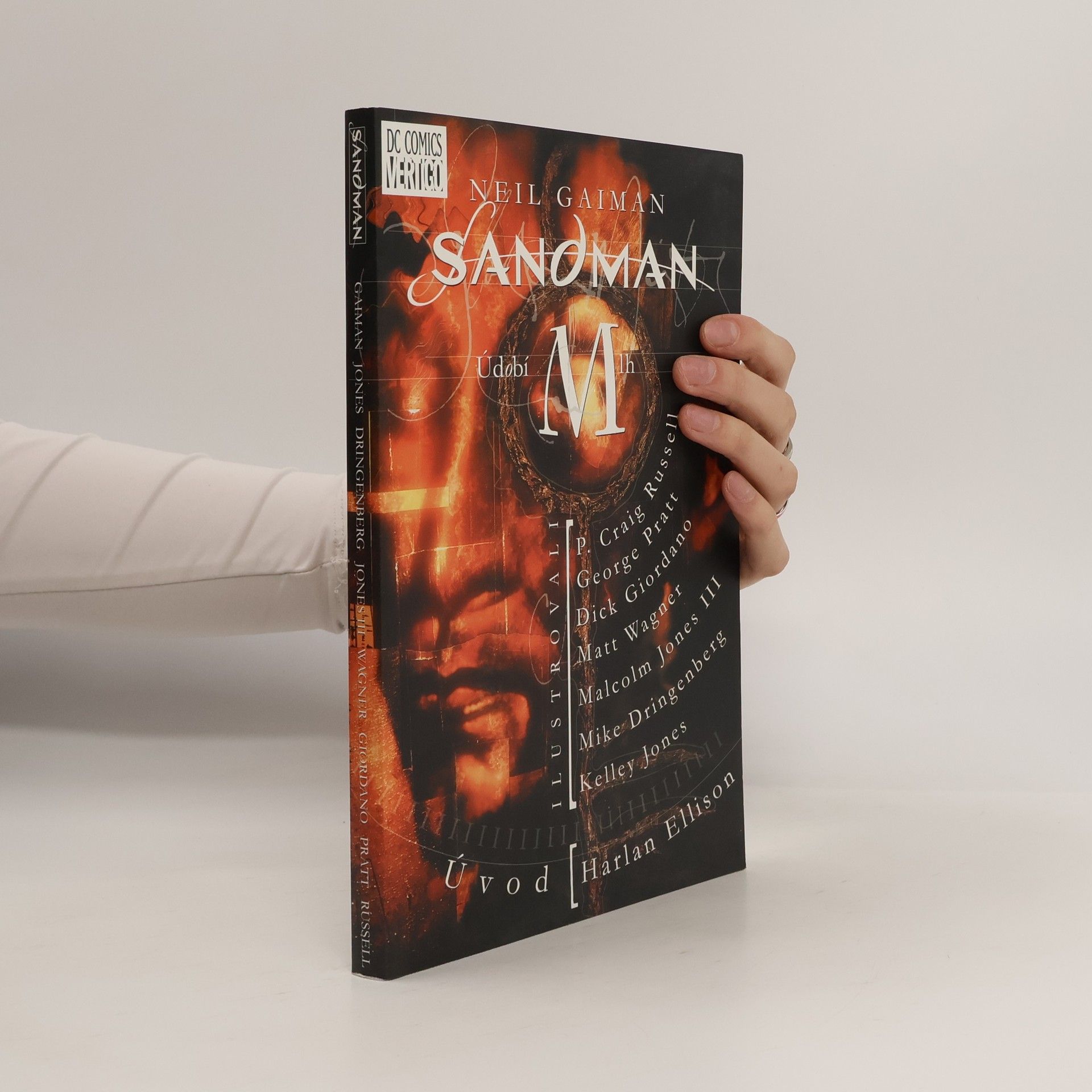 Neil Gaiman Sandman. Údobí mlh