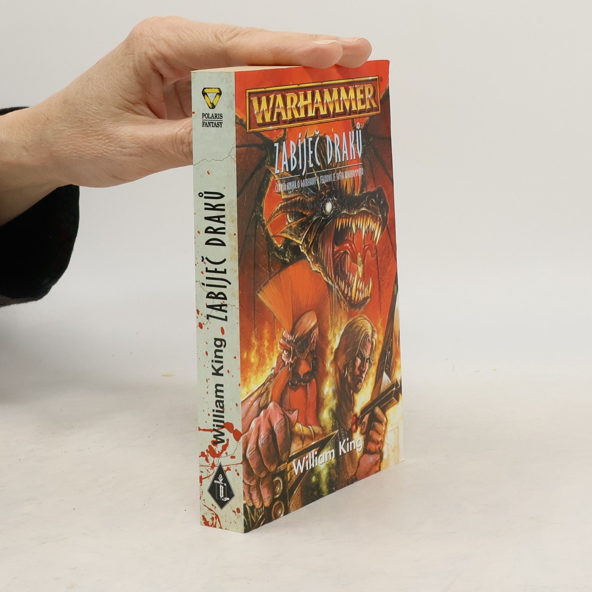 William King Zabíječ draků