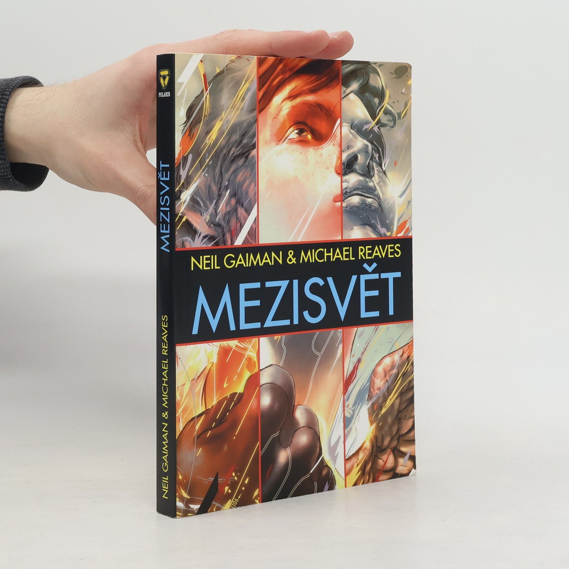 Neil Gaiman Mezisvět