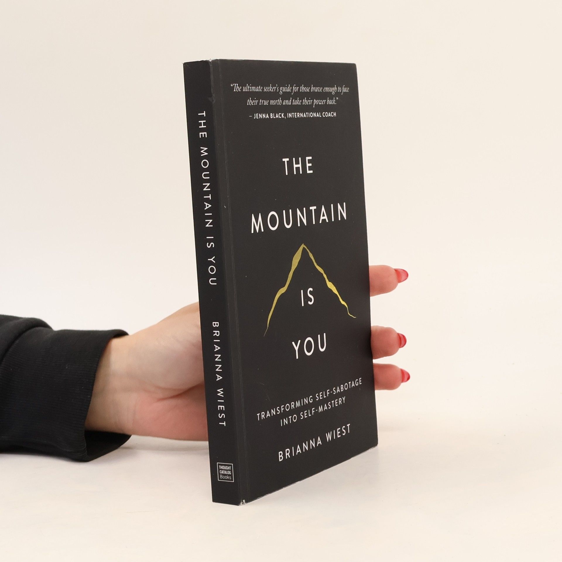 Brianna Wiest The Mountain Is You