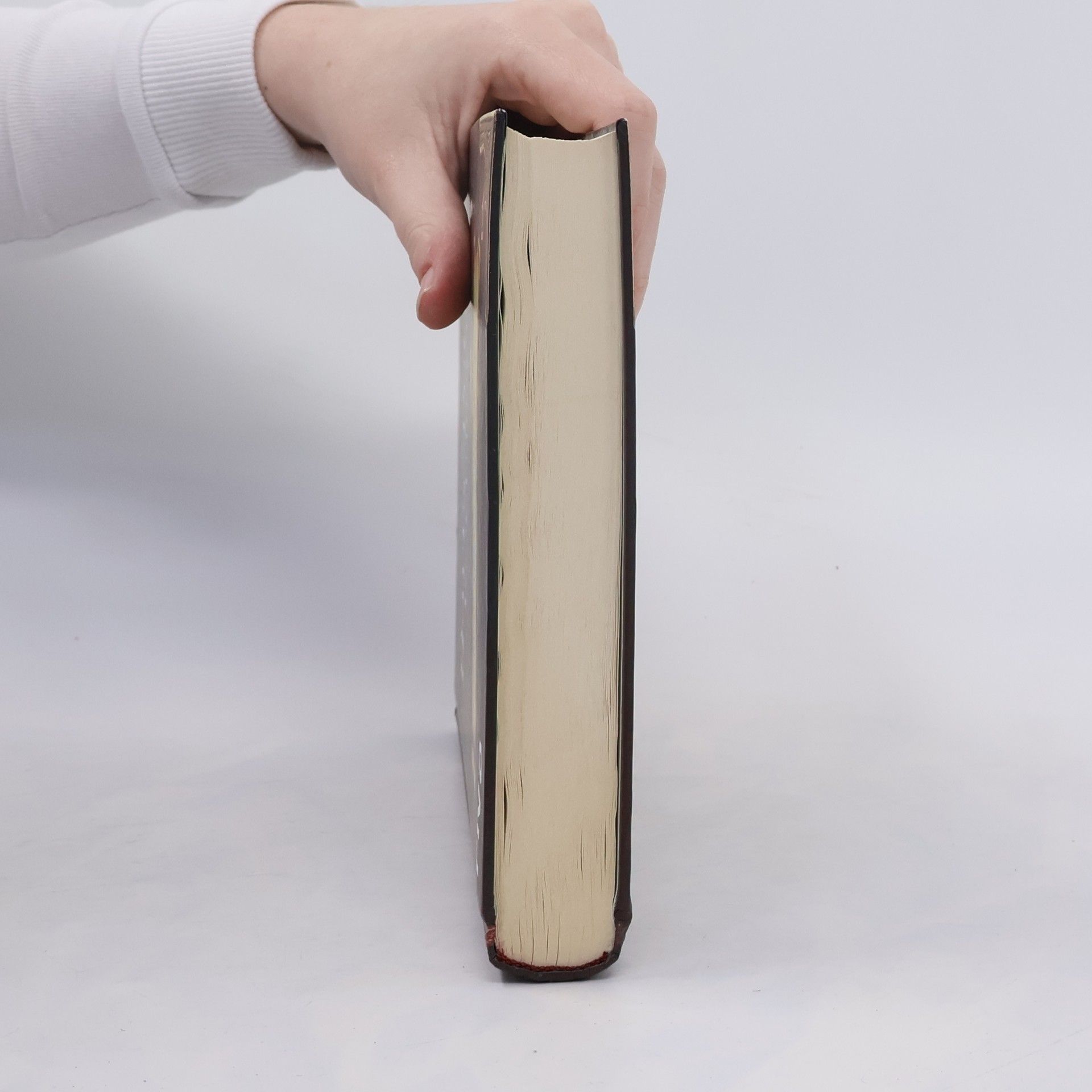 Dinah Bucholz Das inoffizielle Harry-Potter-Kochbuch