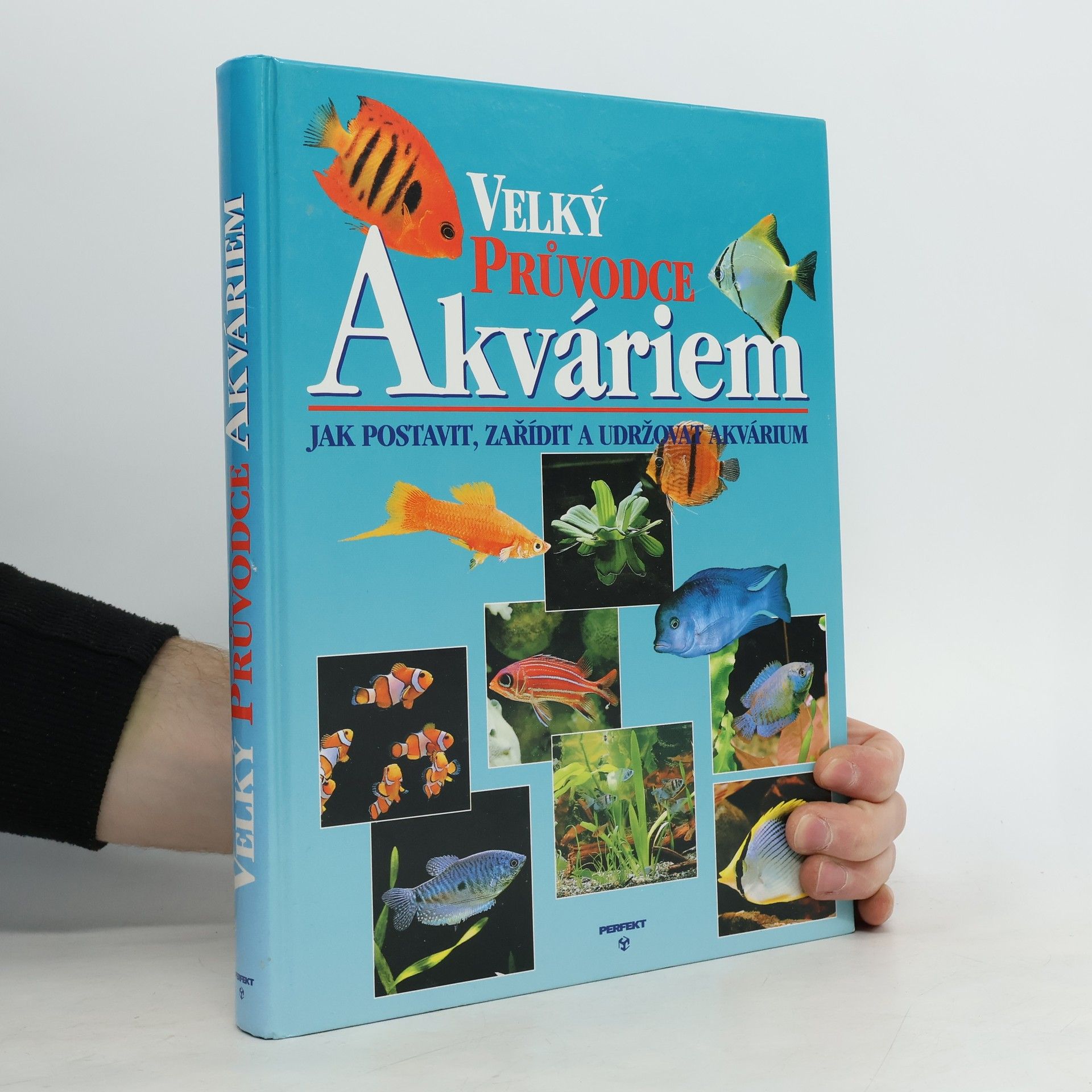 Thierry Maitre Allain Velký průvodce akváriem