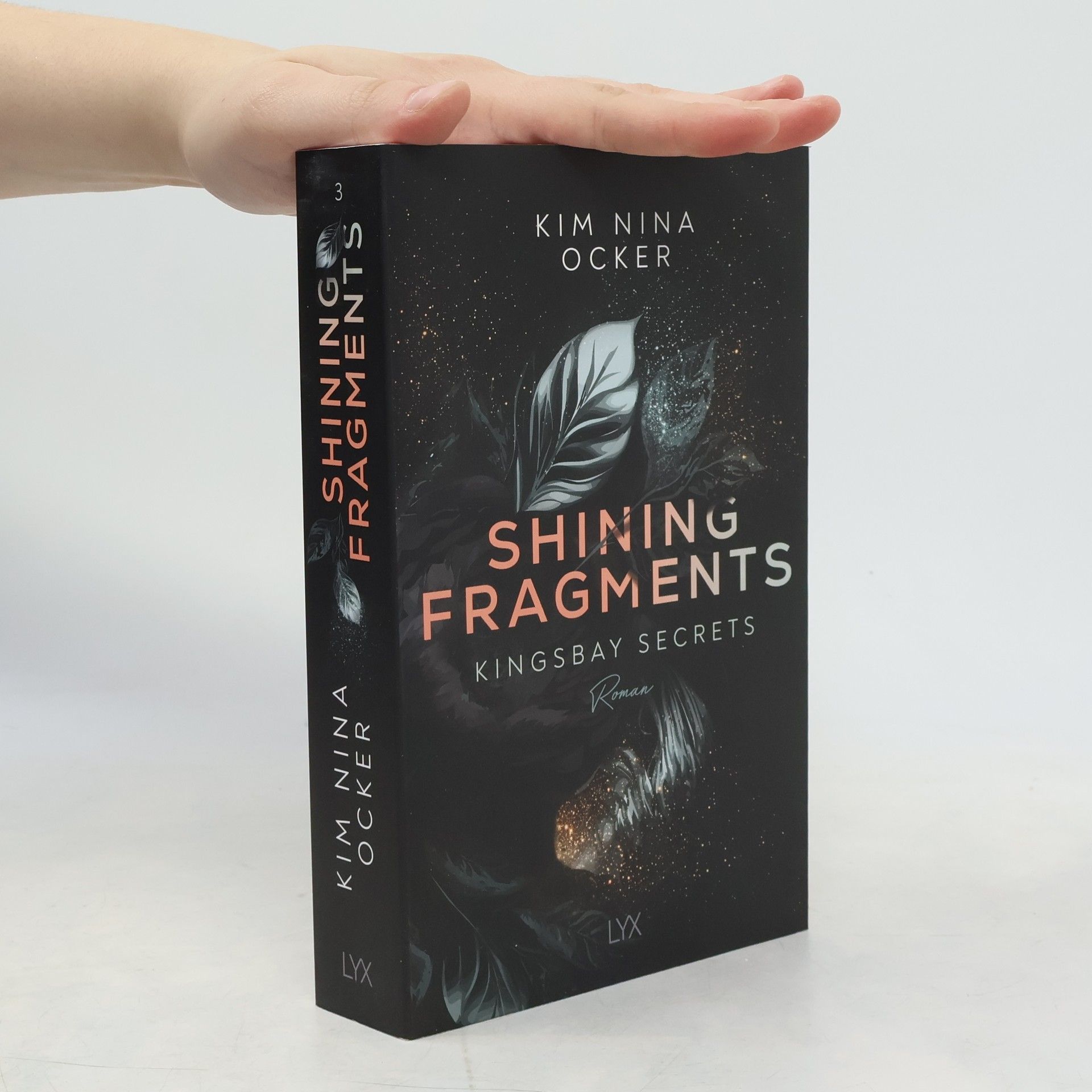 Kim Nina Ocker Shining Fragments