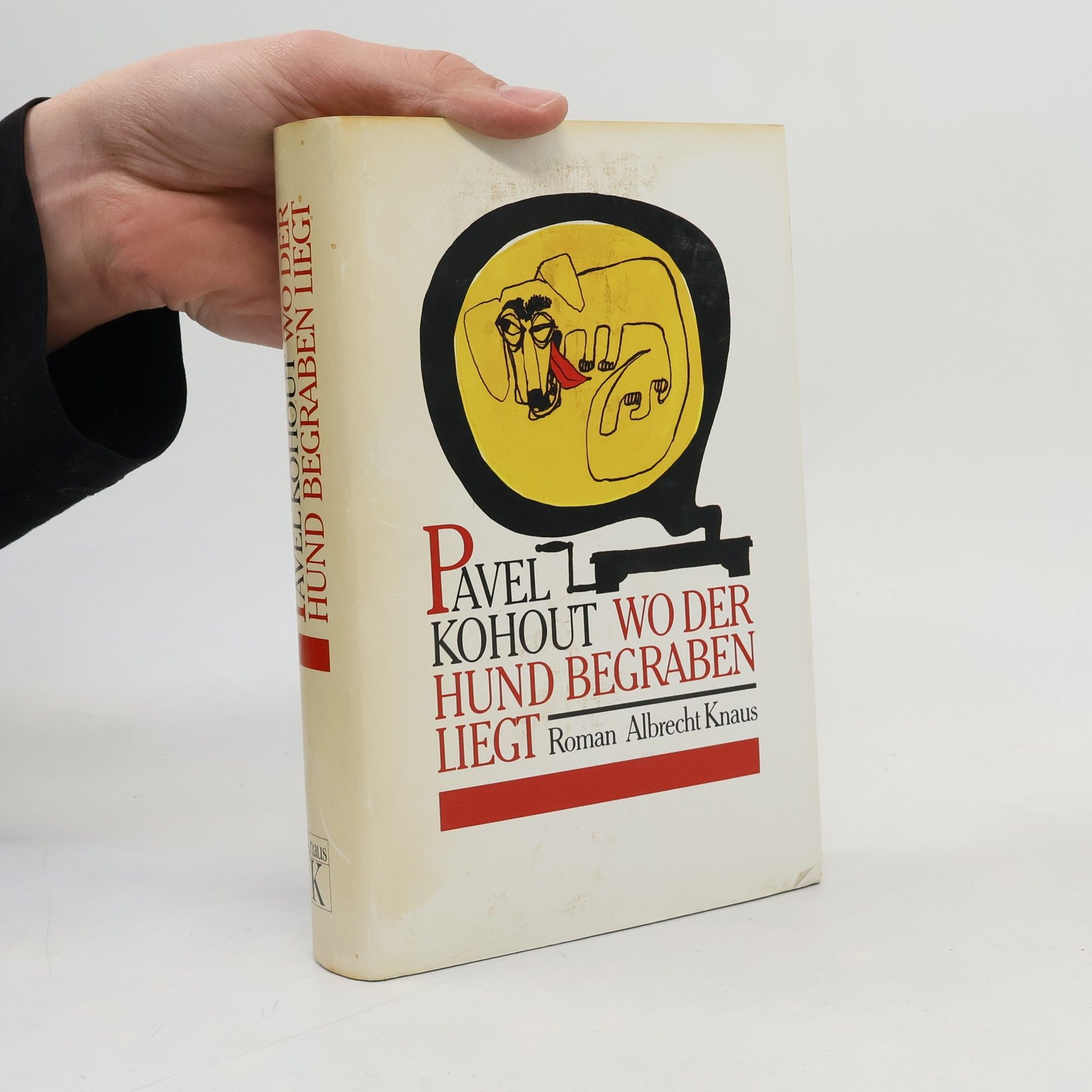 Pavel Kohout Wo der Hund begraben liegt