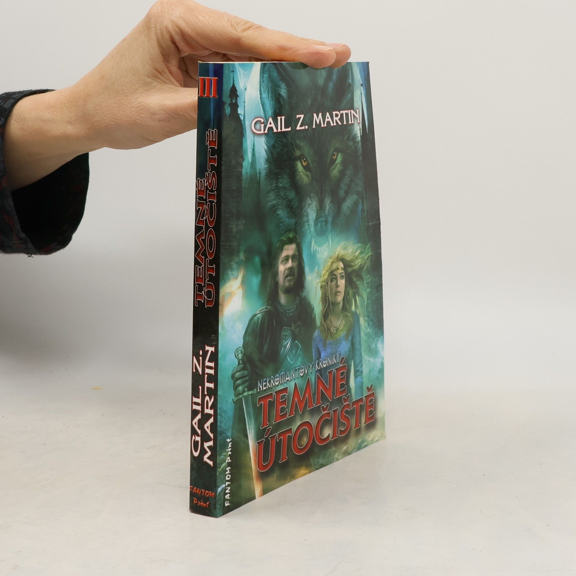 Gail Z. Martin Temné útočiště