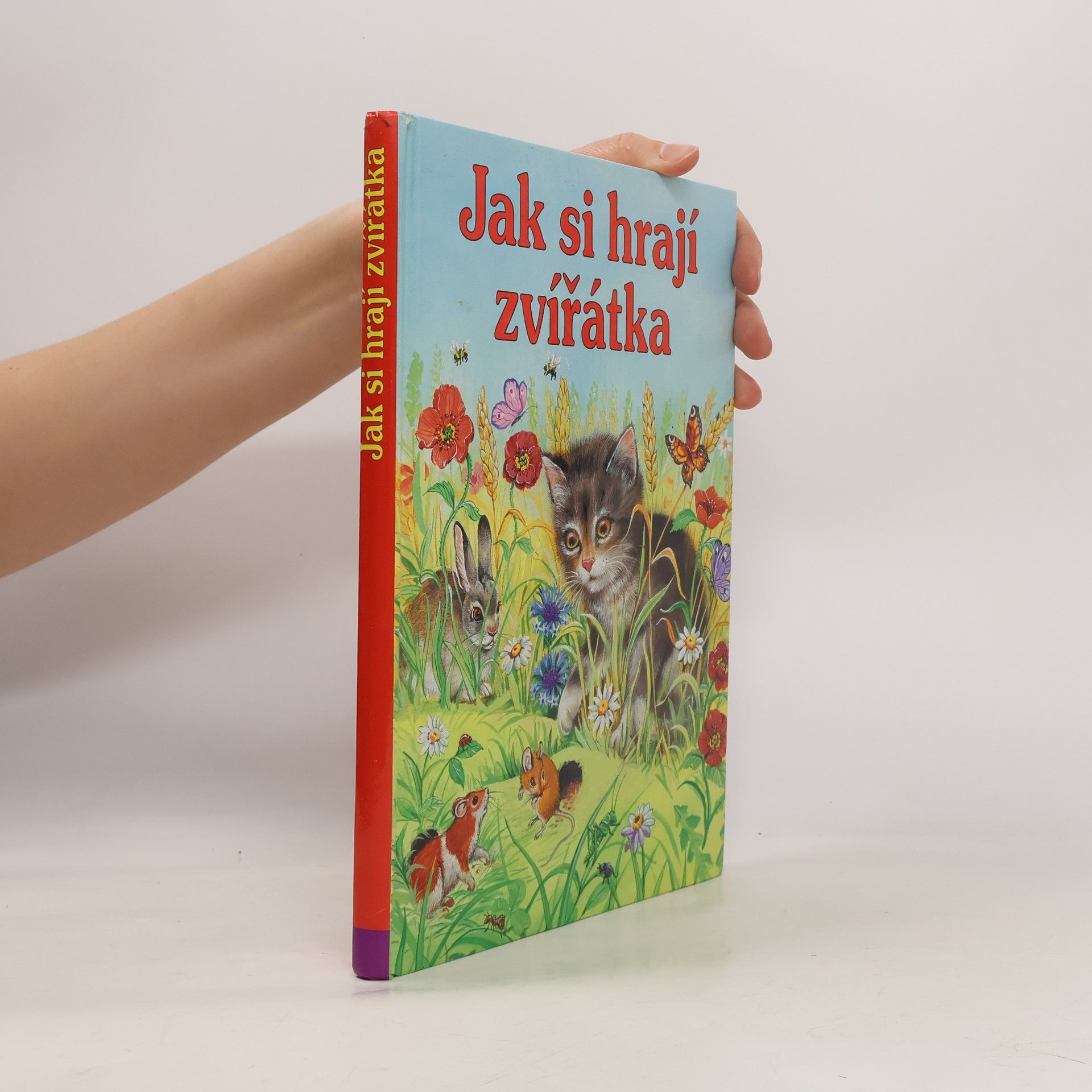 Jak si hrají zvířátka