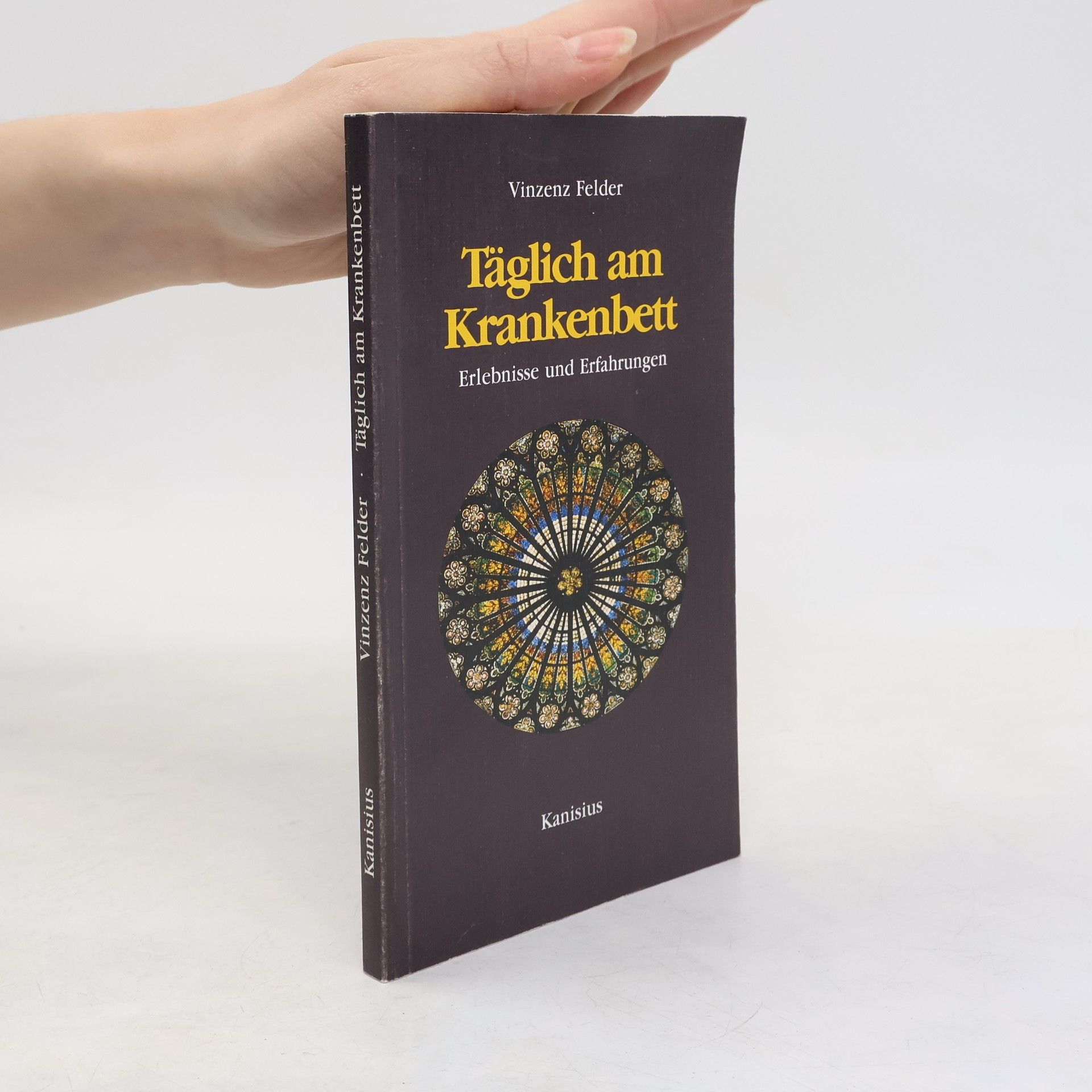 Vinzenz Felder Täglich am Krankenbett