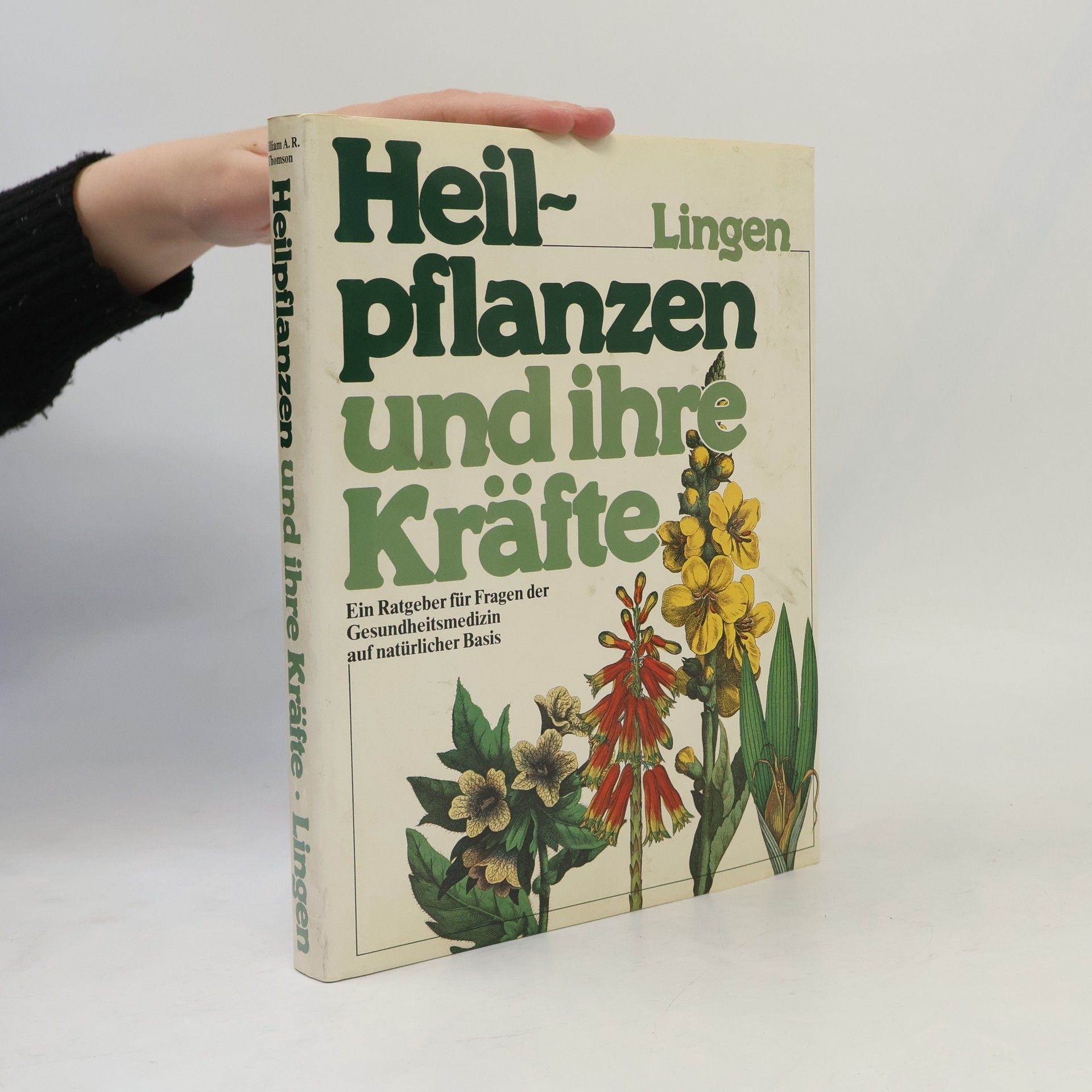 Heilpflanzen und ihre Kräfte