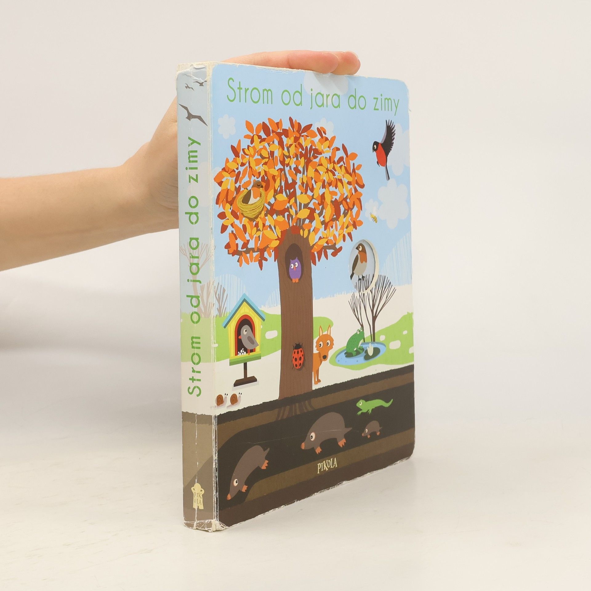 Nicole Colas des Francs Strom od jara do zimy