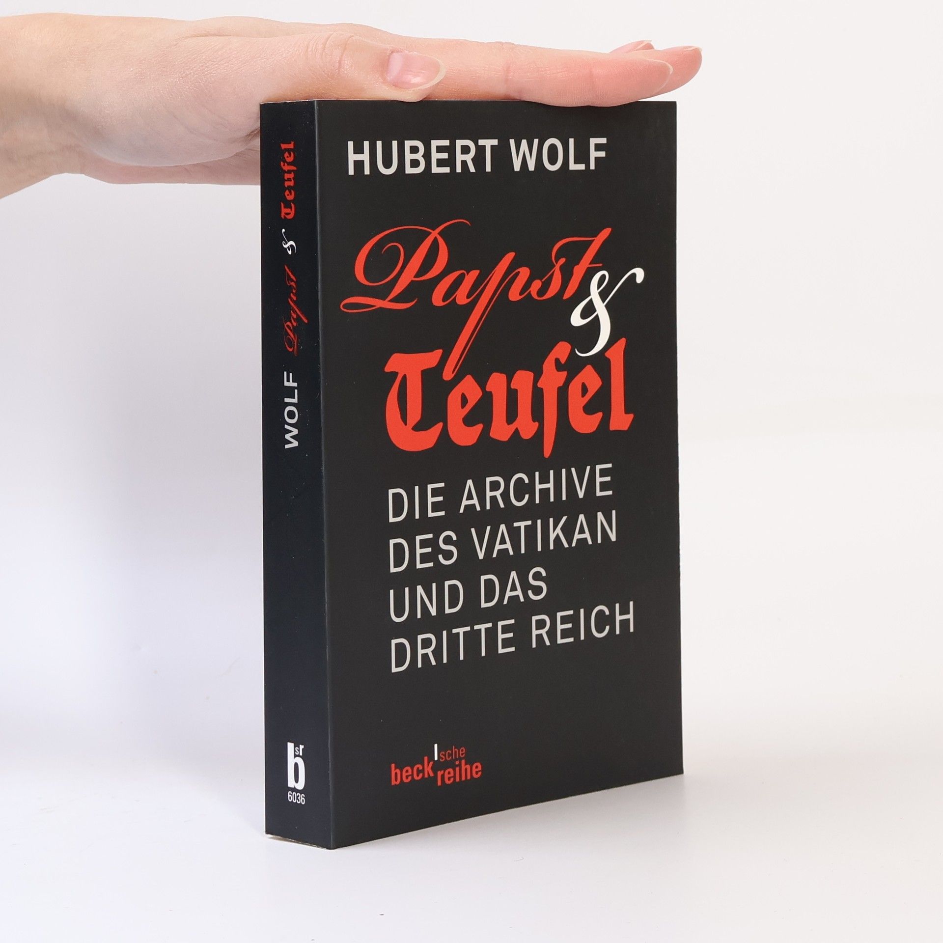 Hubert Wolf Papst & Teufel
