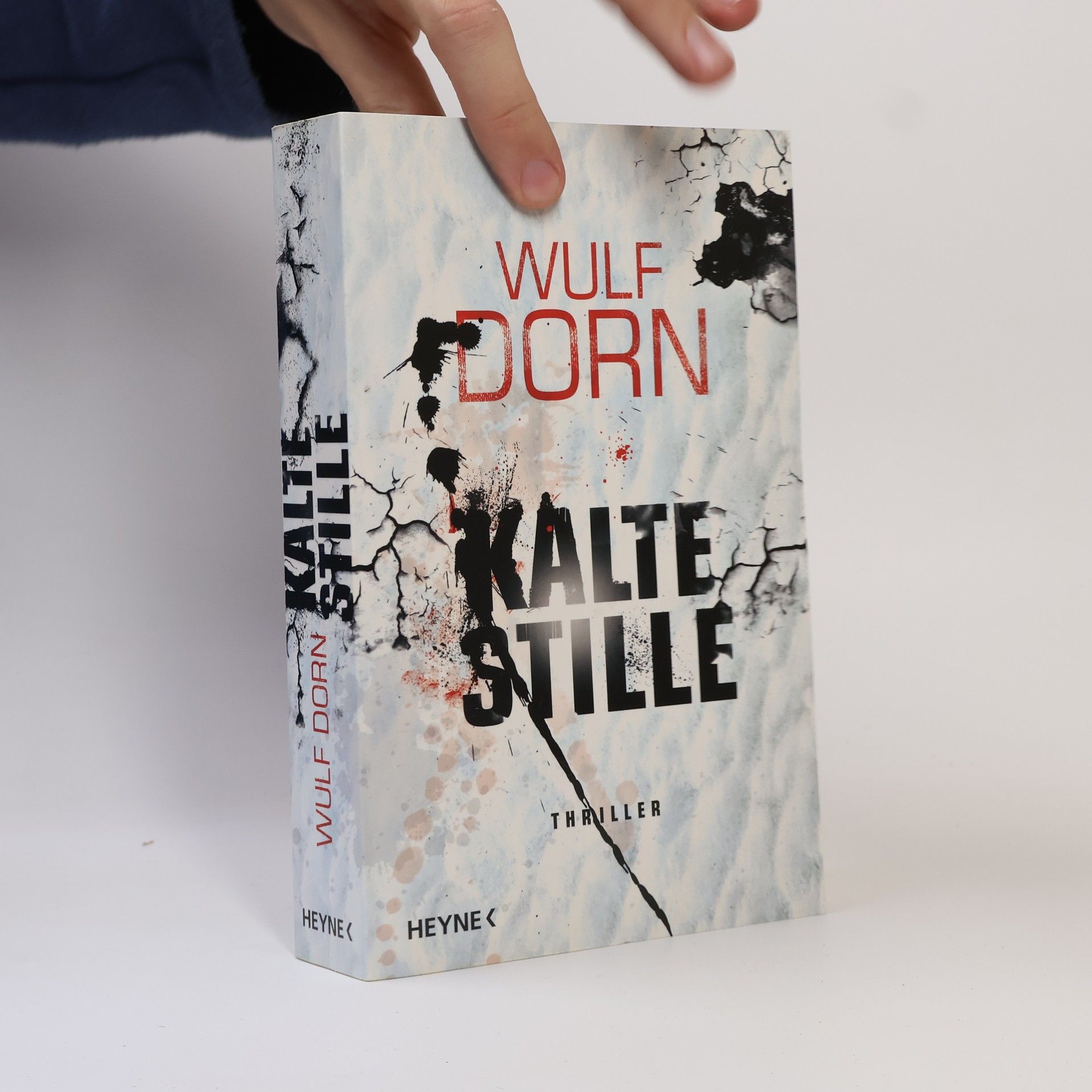 Wulf Dorn Kalte Stille