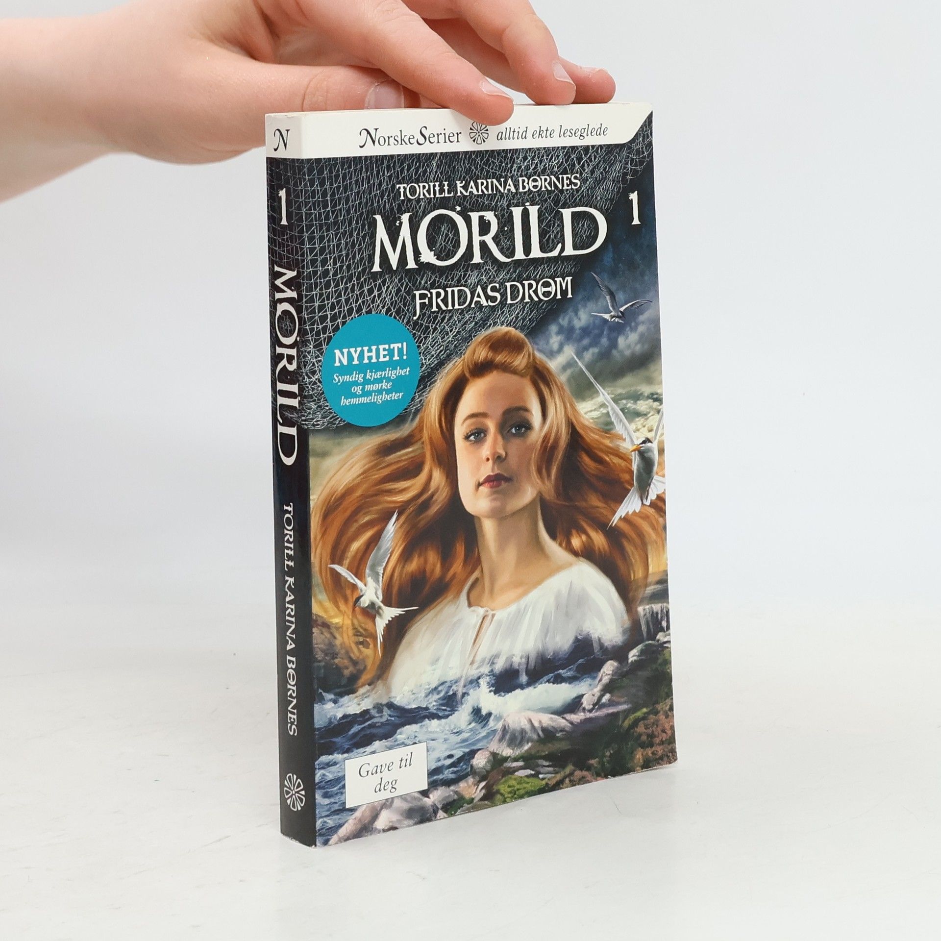 Torill Karina Børnes Morild 1. Fridas drøm