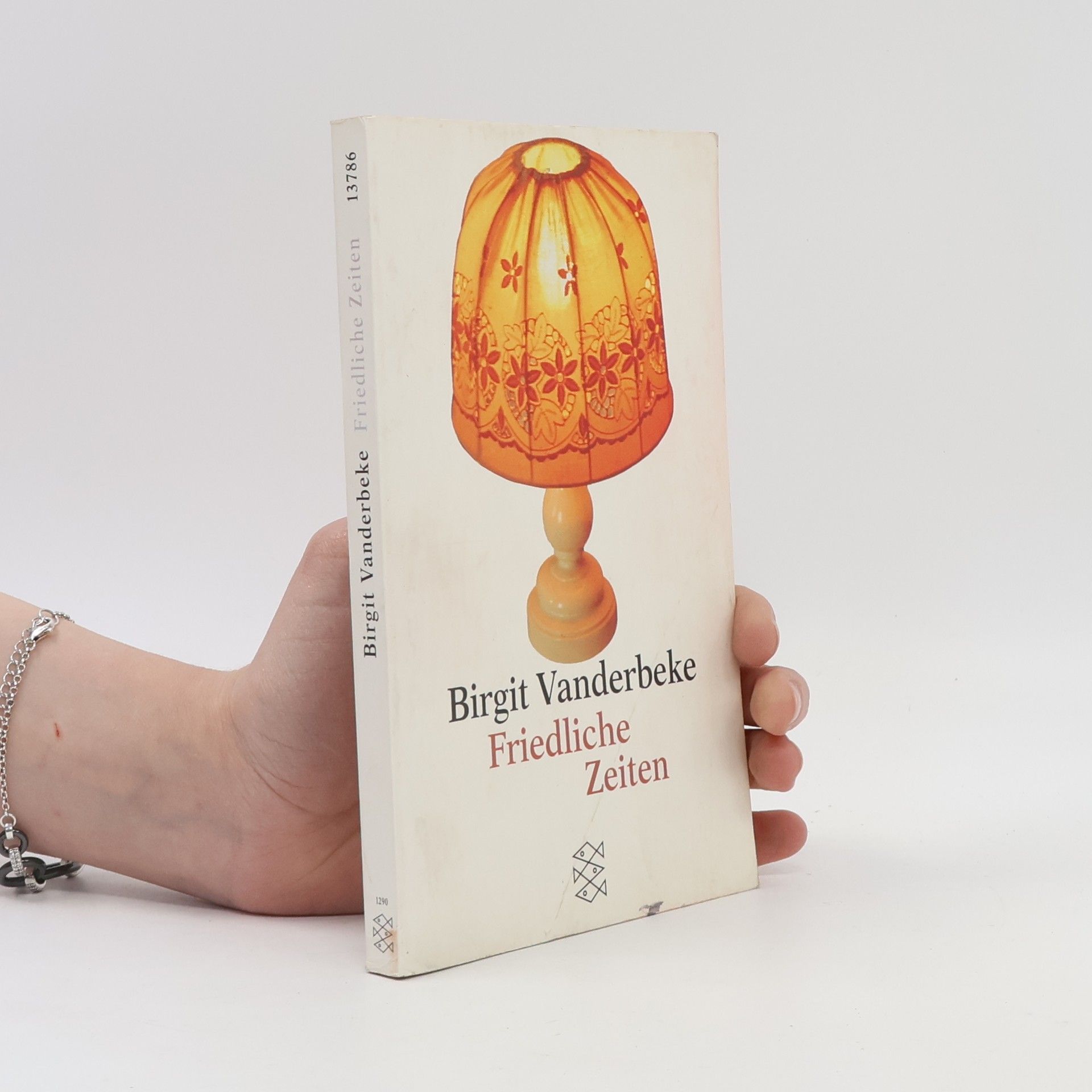 Birgit Vanderbeke Friedliche Zeiten