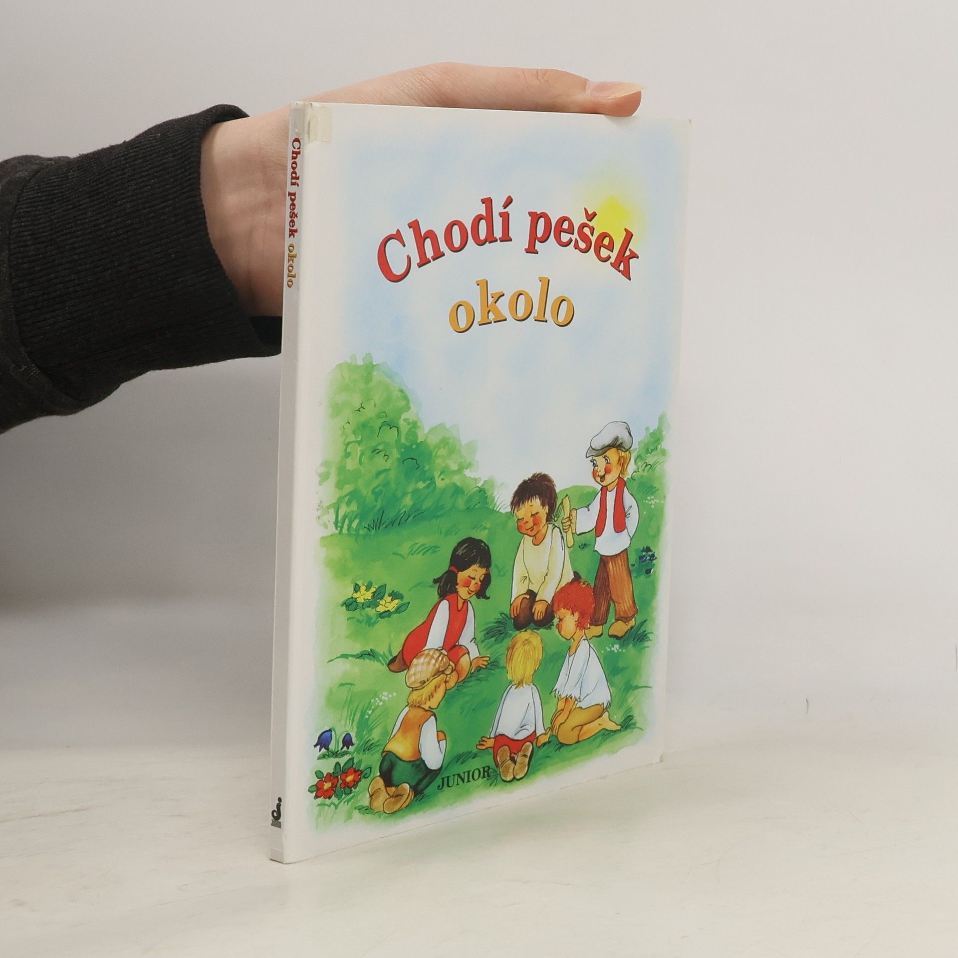 Vladimíra Vopičková Chodí pešek okolo (leporelo)