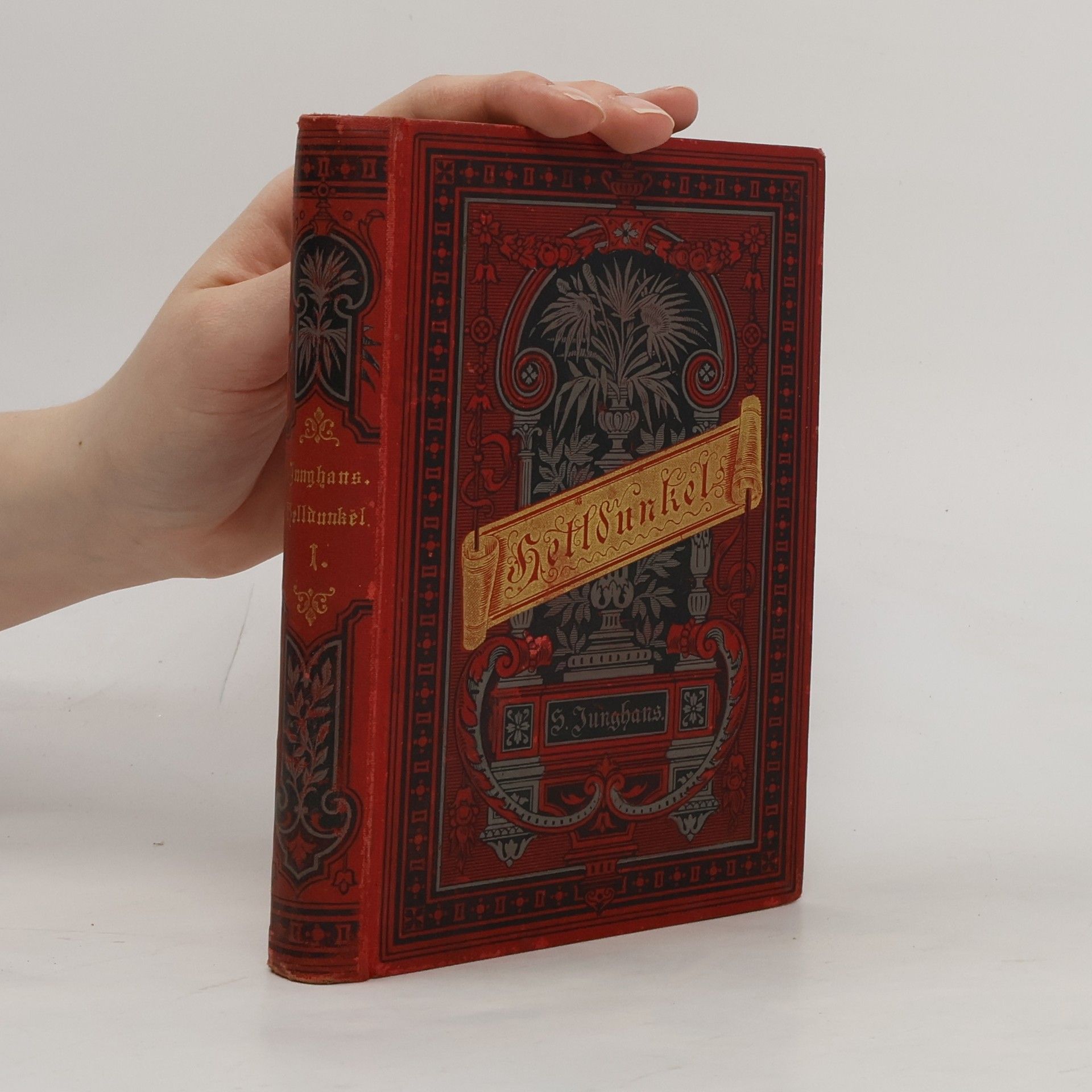 Sophie Junghans Helldunkel I.