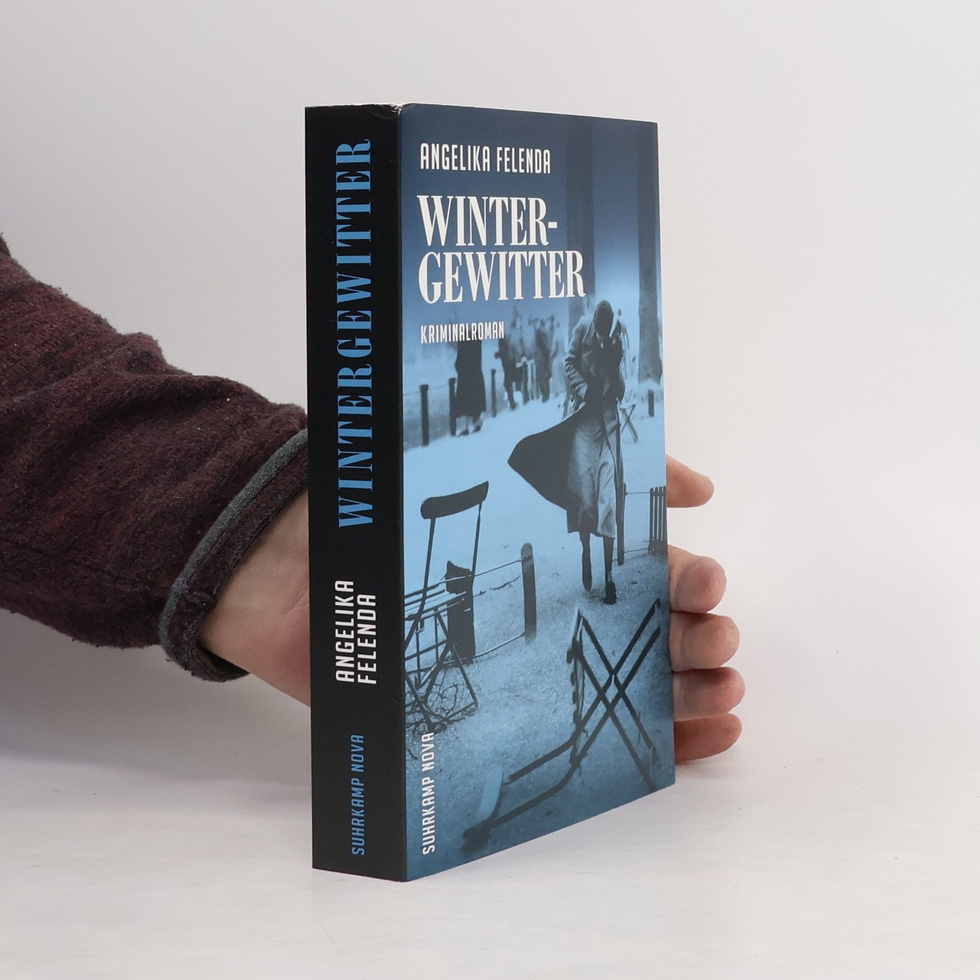 Angelika Felenda Wintergewitter