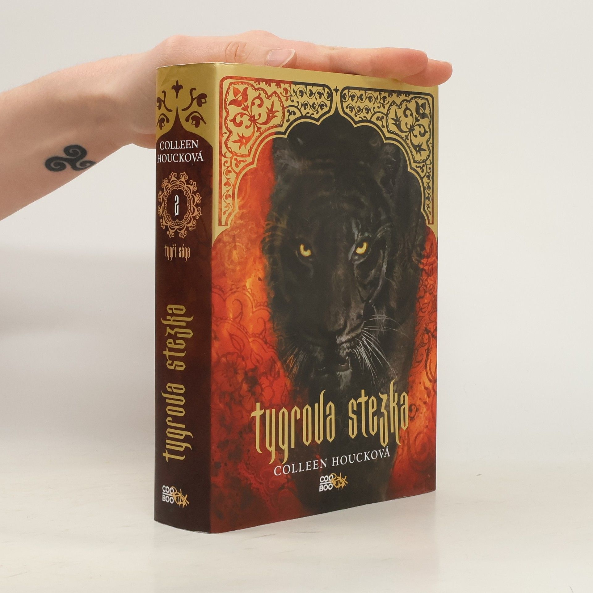 Colleen Houck Tygrova stezka
