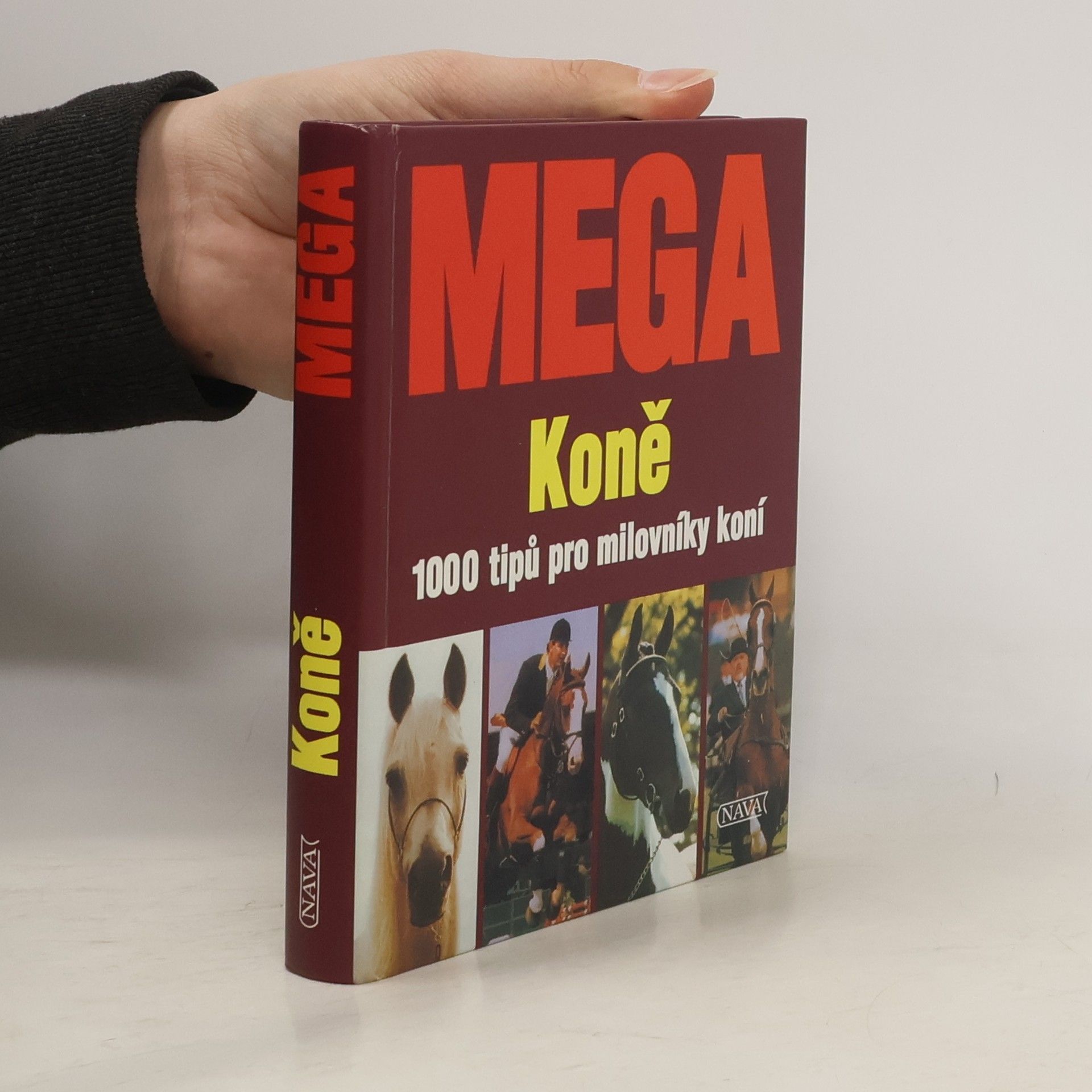 Edgar Wüpper Mega: Koně
