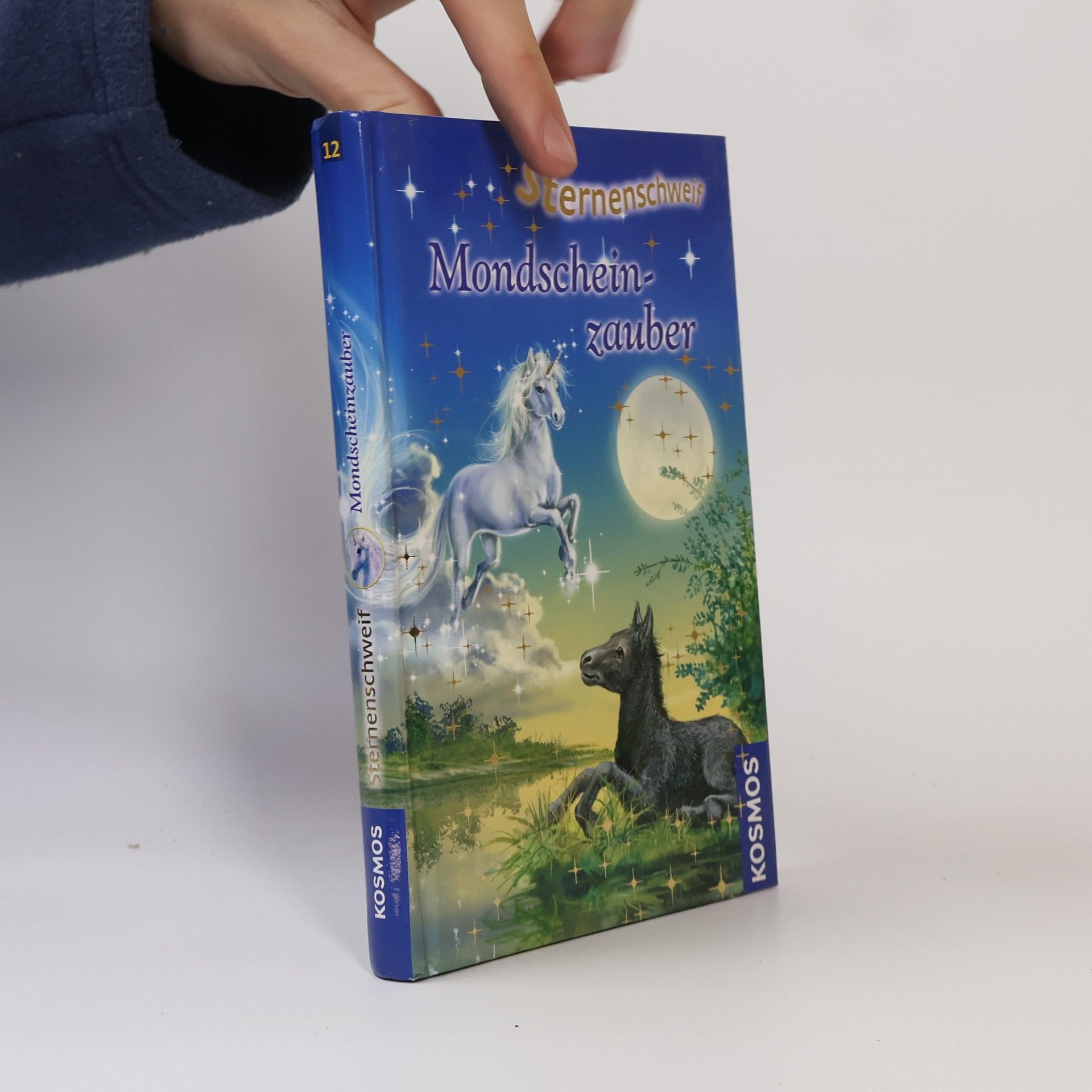 Linda Chapman Sternenschweif. Mondscheinzauber 12