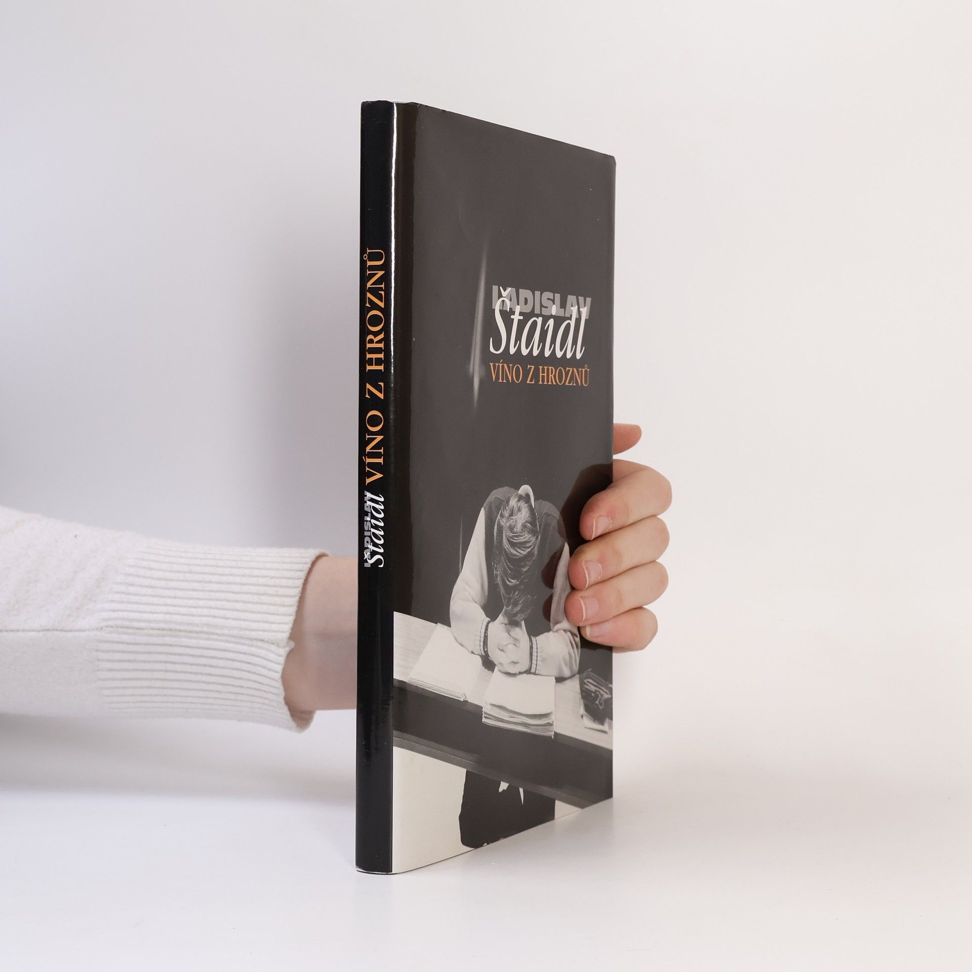 Ladislav Štaidl Víno z hroznů