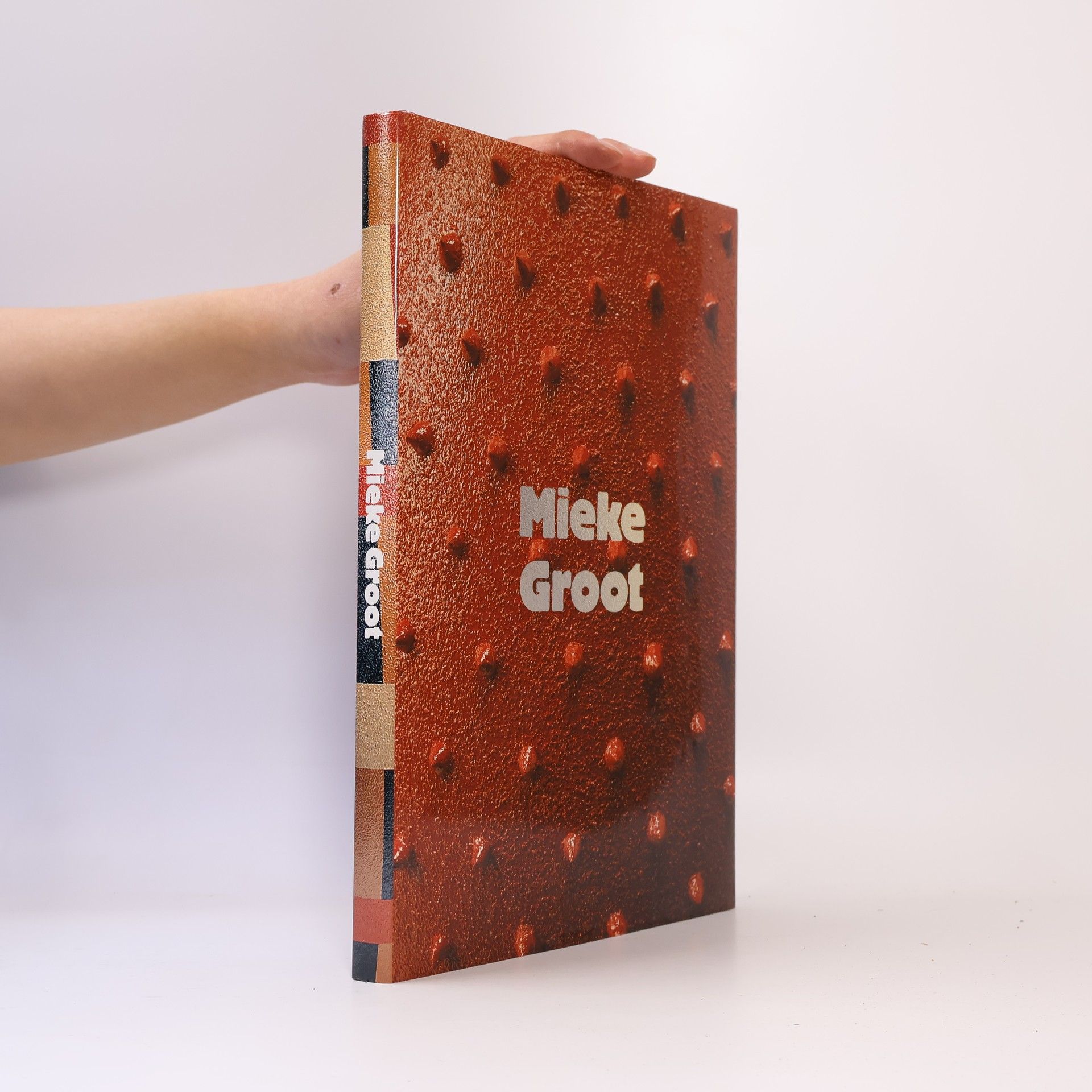 Mieke Groot Mieke Groot