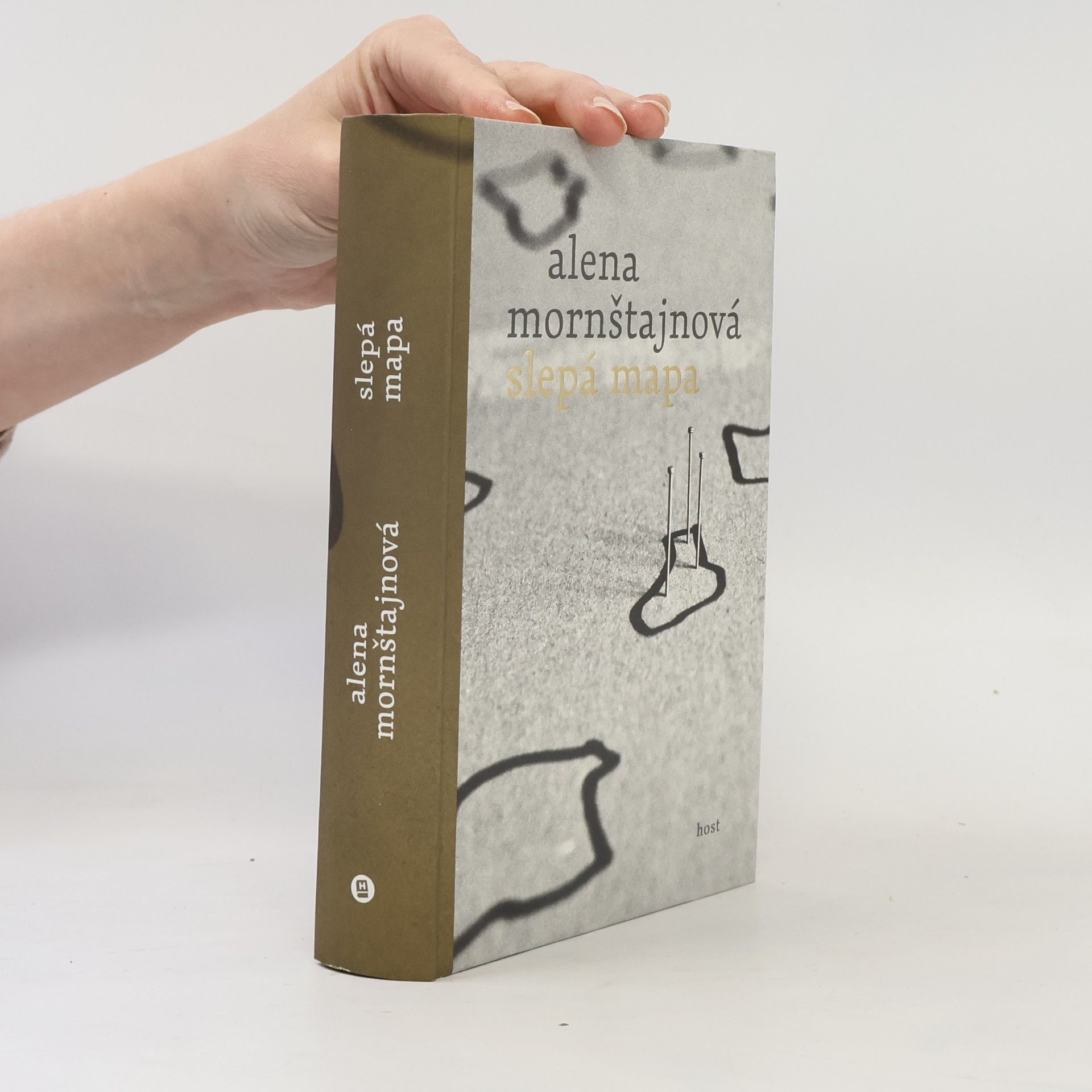 Alena Mornštajnová Slepá mapa