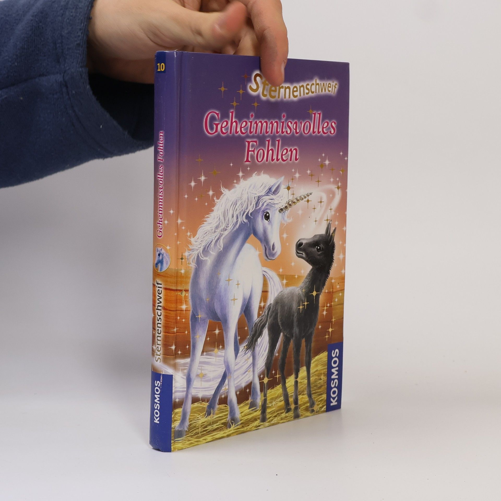 Linda Chapman Sternenschweif : Geheimnisvolles Fohlen