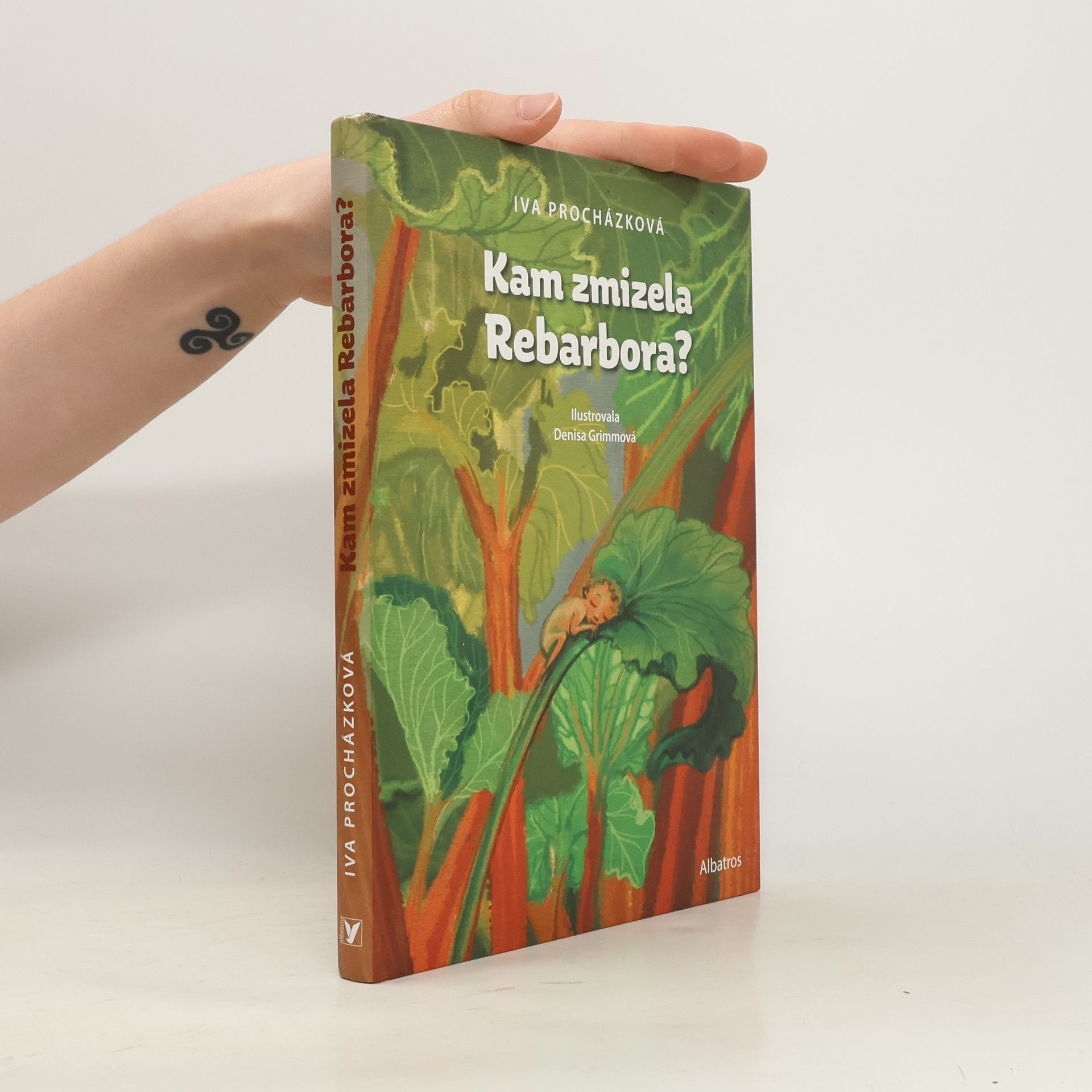 Kam zmizela Rebarbora?