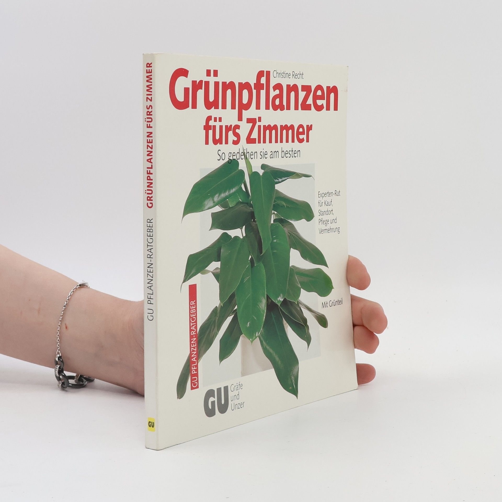 Autorenkollektiv Grünpflanzen fürs Zimmer