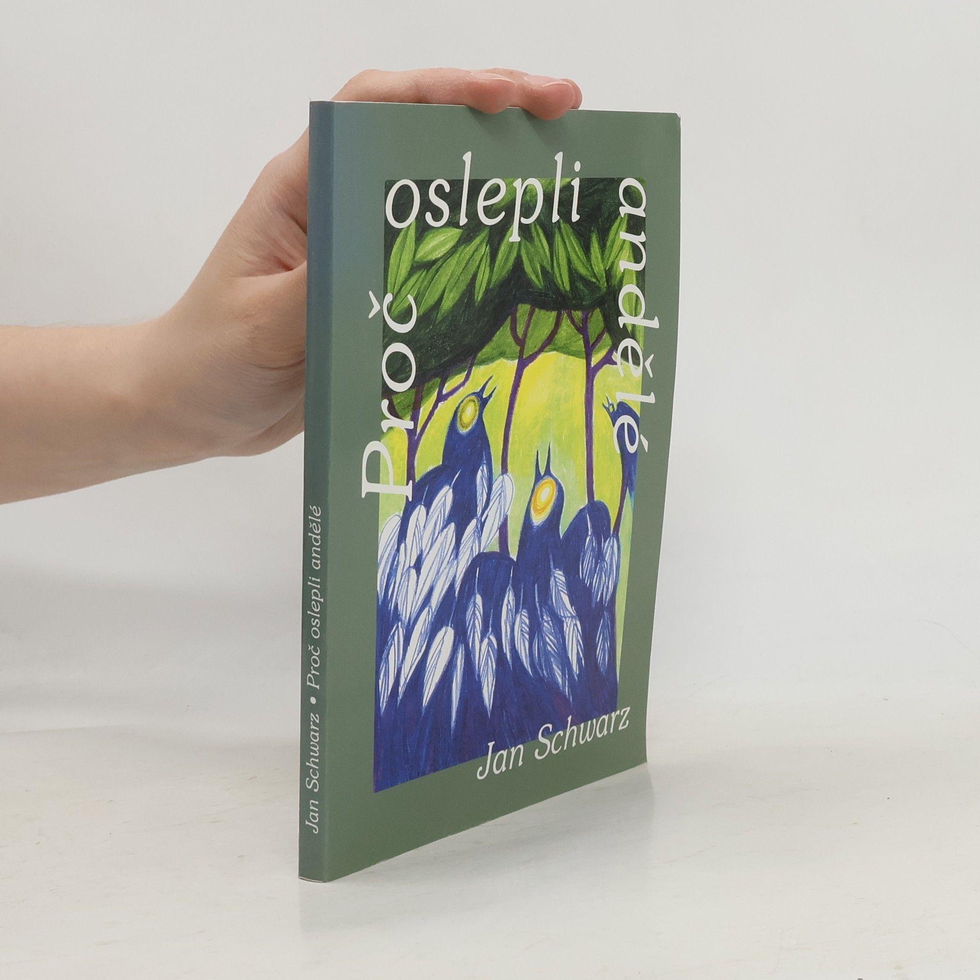 Jan Schwarz Proč oslepli andělé