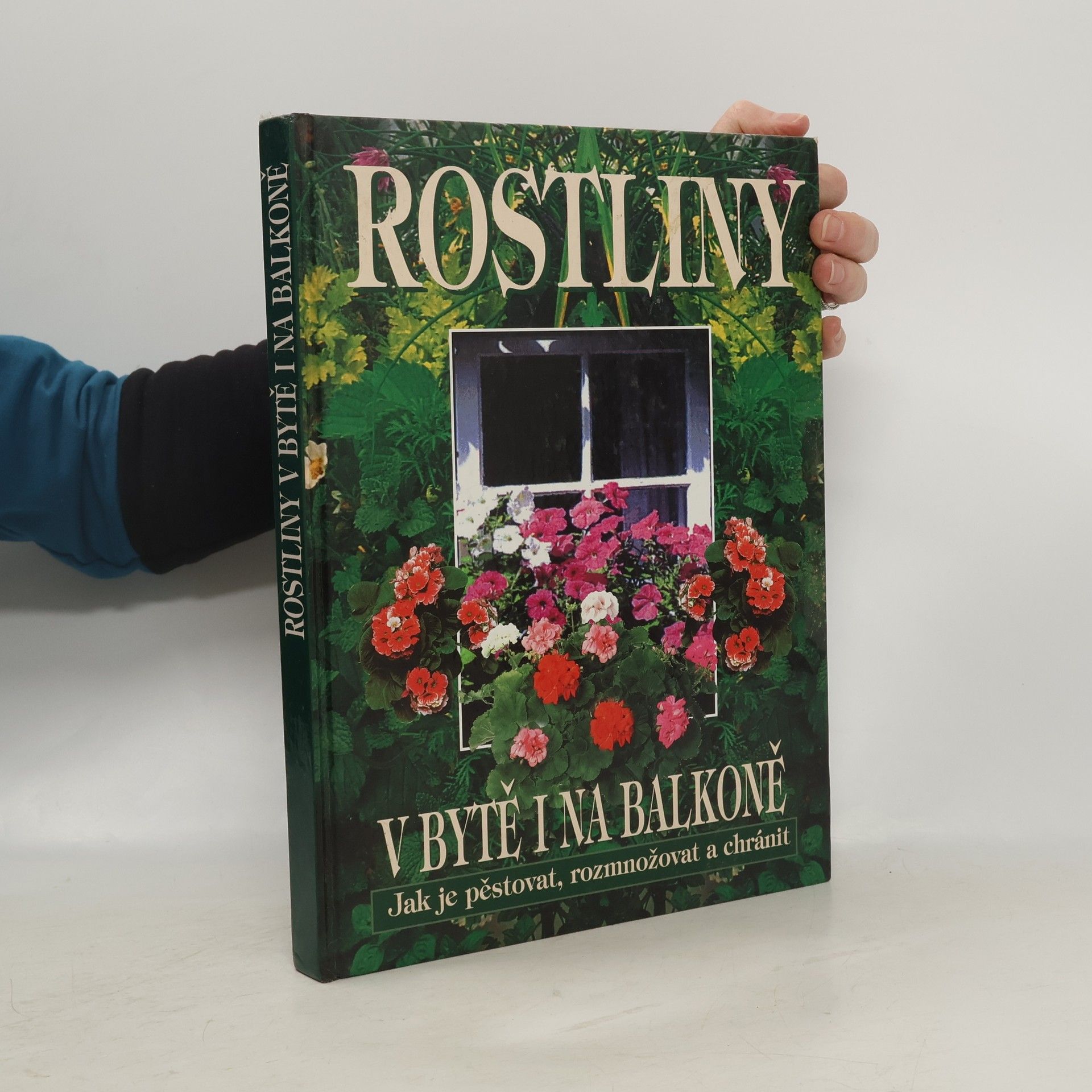 Autorenkollektiv Rostliny v bytě i na balkoně