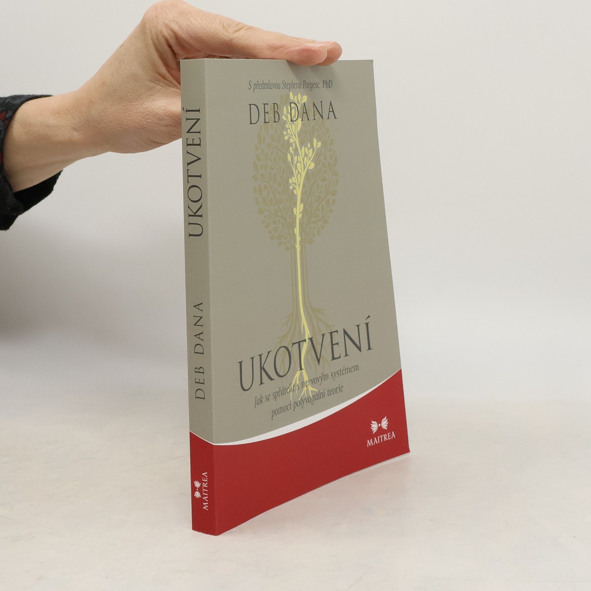 Ukotvení. Jak se spřátelit s nervovým systémem pomocí polyvagální teorie