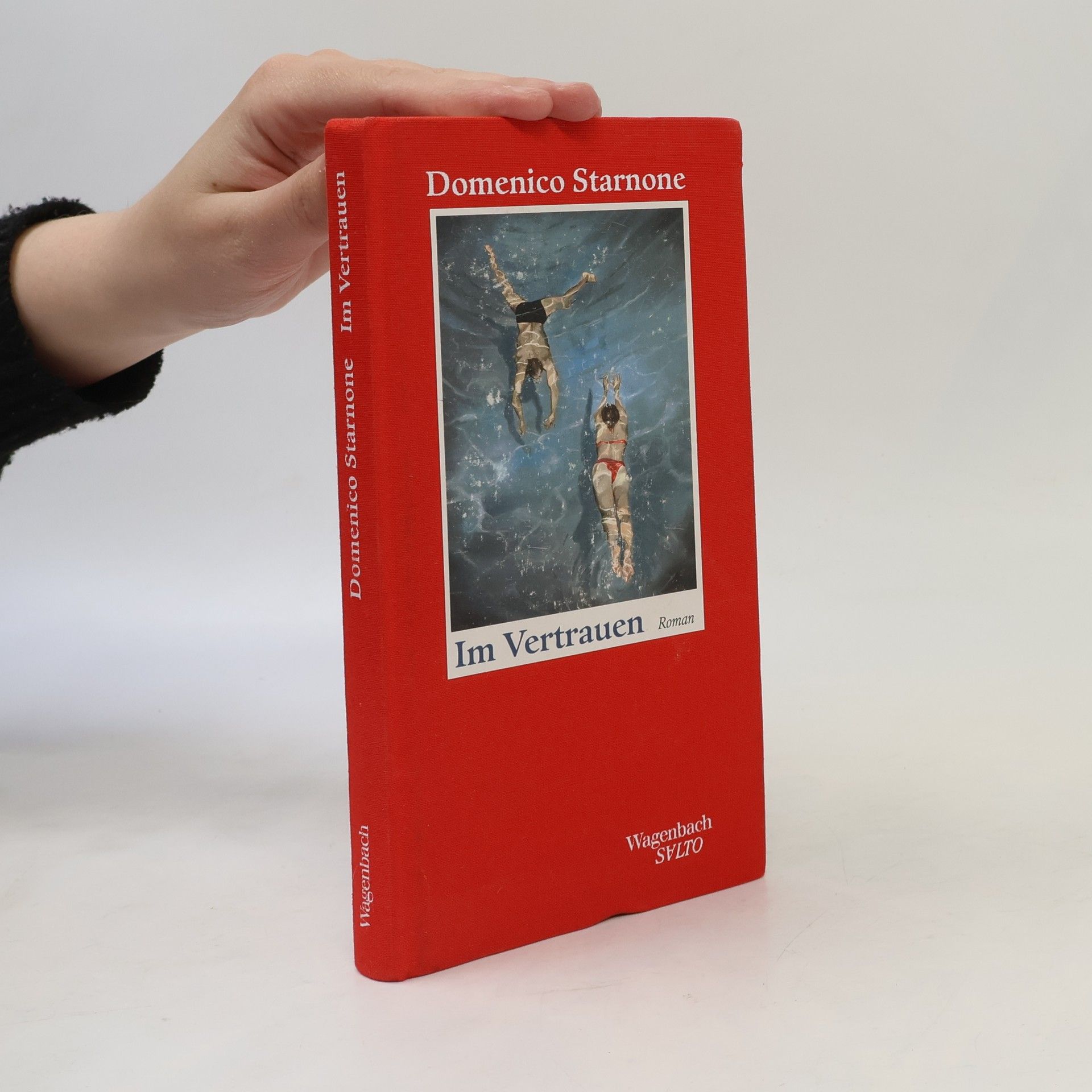 Domenico Starnone Im Vertrauen