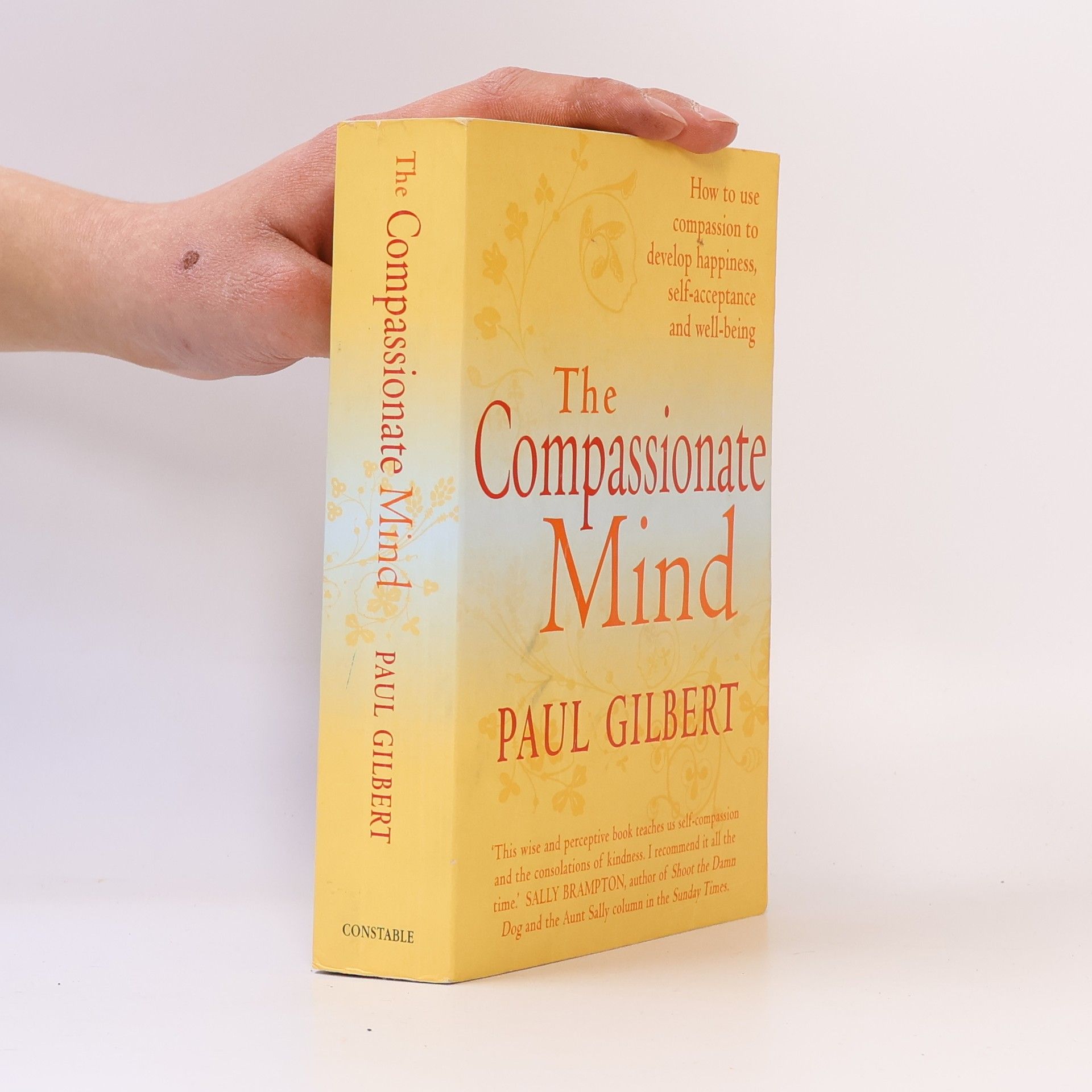 Paul Gilbert The Compassionate Mind