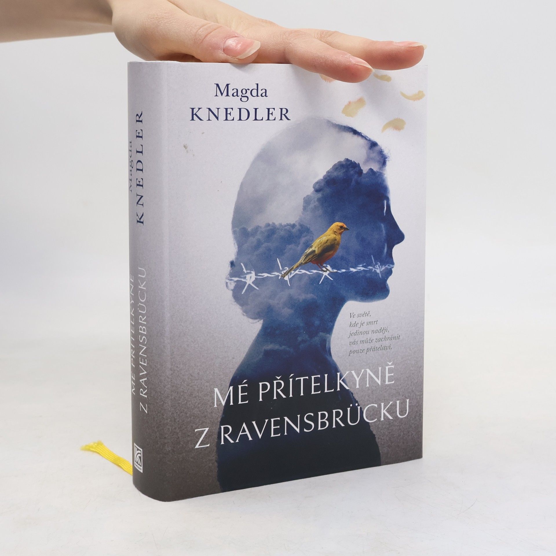 Magdalena Knedler Mé přítelkyně z Ravensbrücku