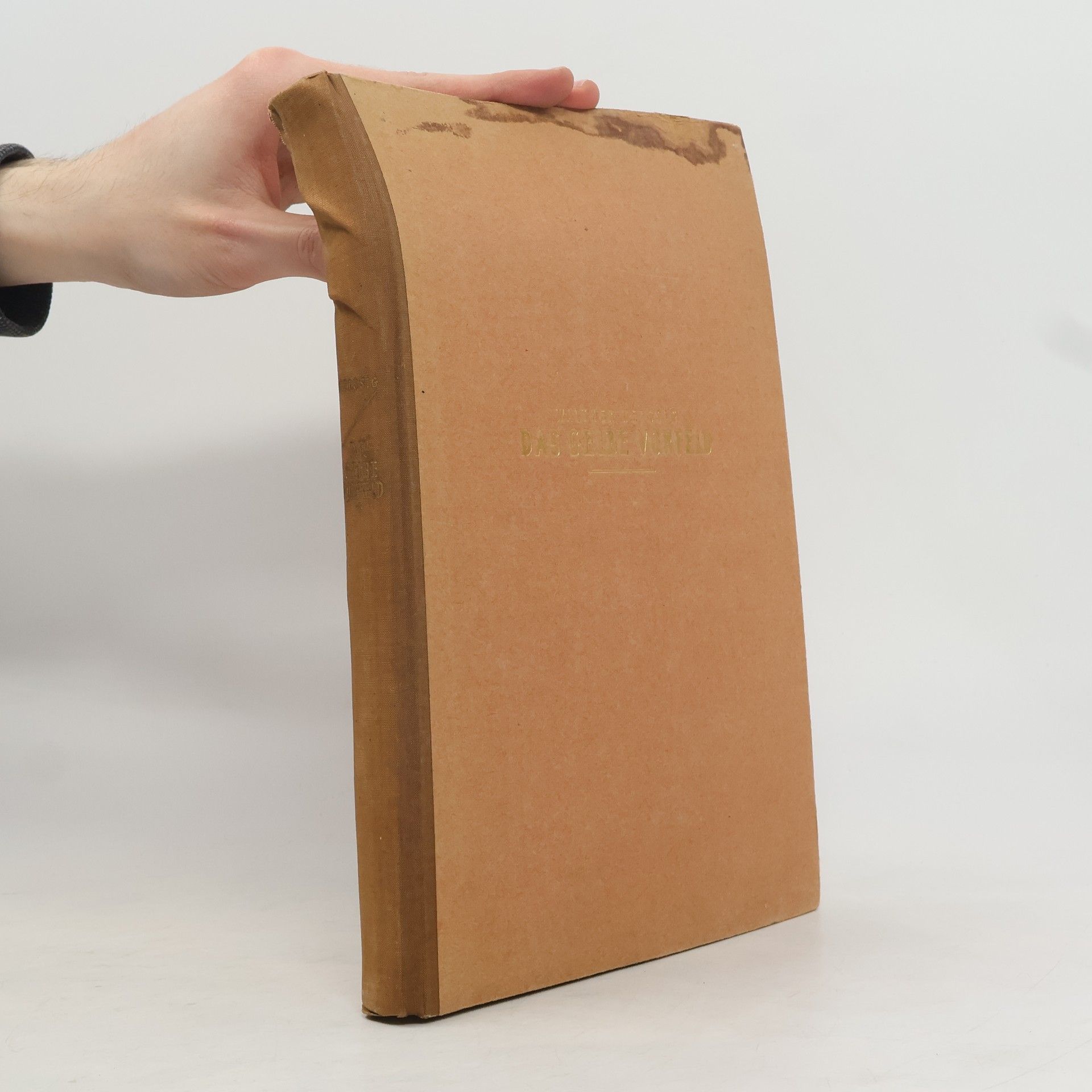 Walther Heissig Das gelbe Vorfeld