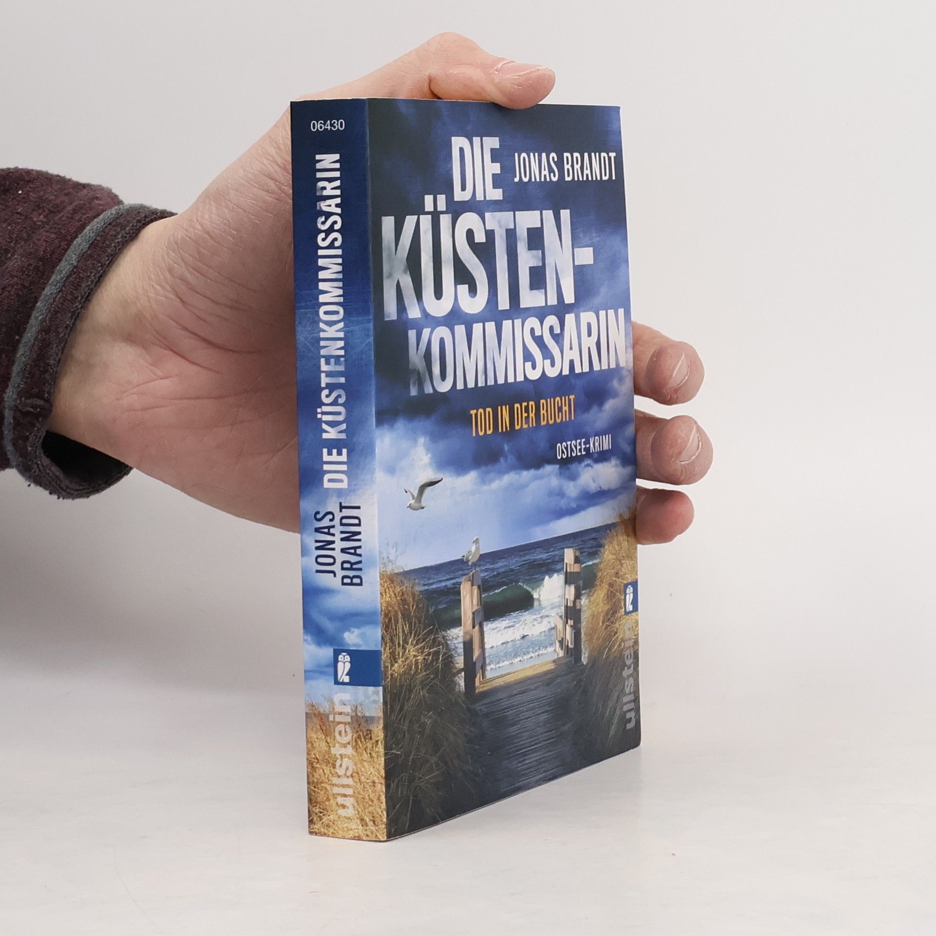 Jonas Brandt Die Küstenkommissarin - Tod in der Bucht
