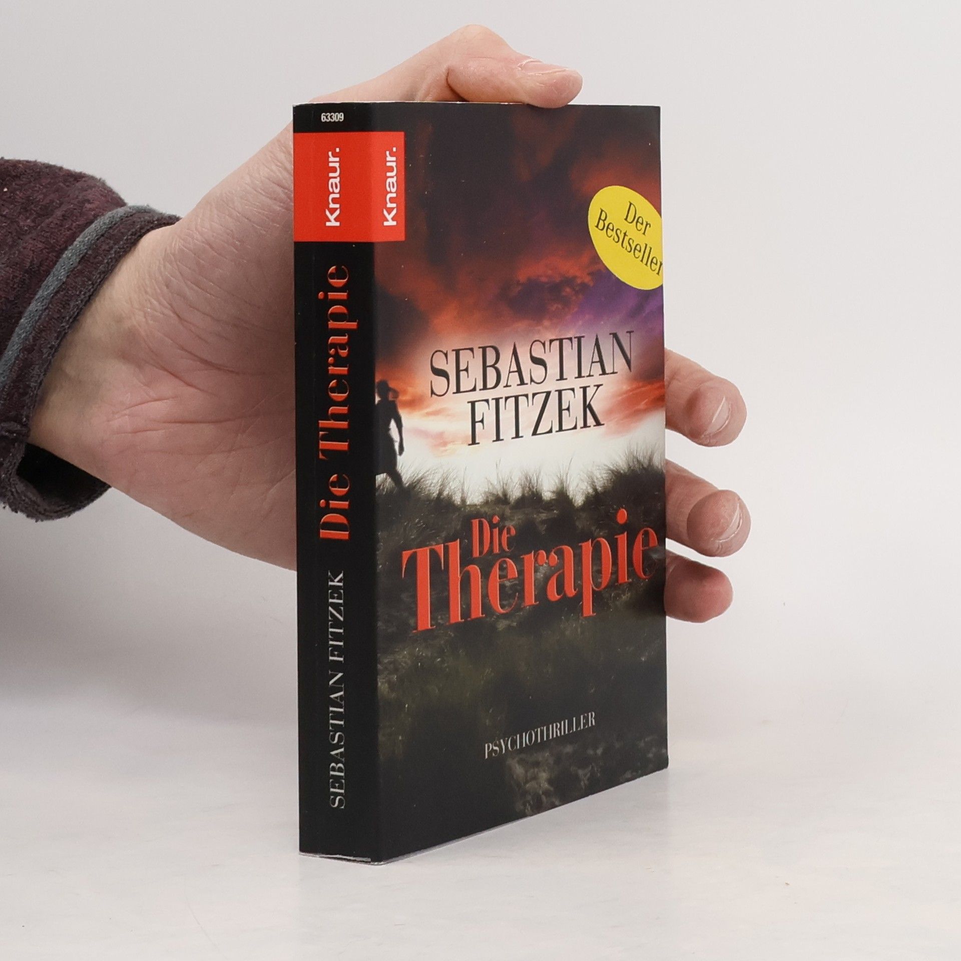 Sebastian Fitzek Die Therapie