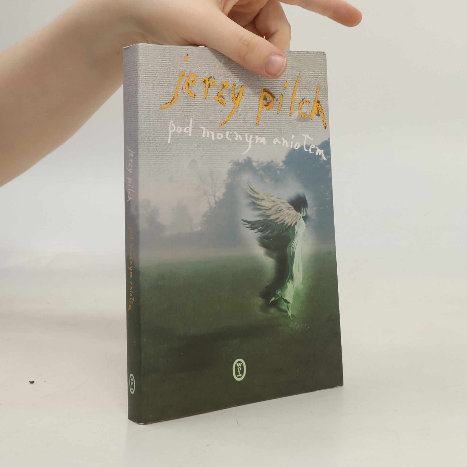 Jerzy Pilch Pod Mocnym Aniolem